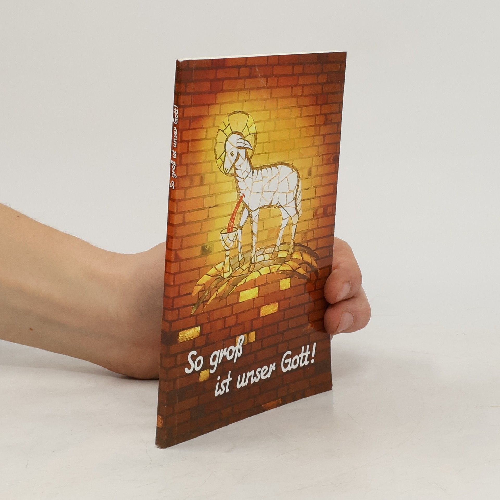 Autorenkollektiv So groß ist unser Gott!