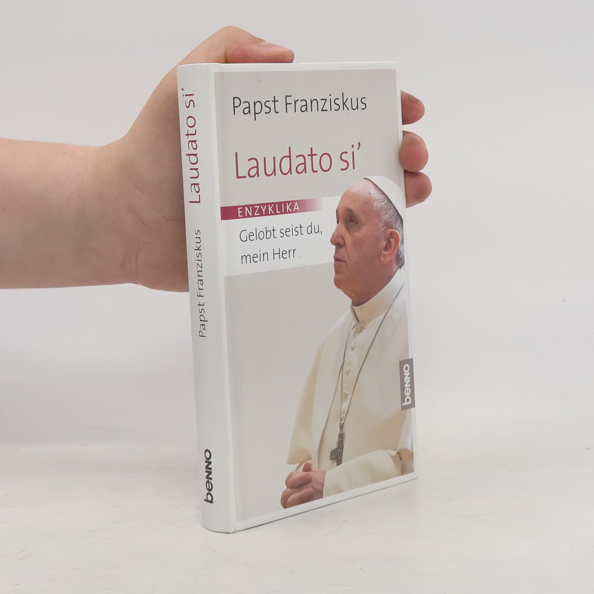 Papst Franziskus Laudato si' : Gelobt seist du, mein Herr