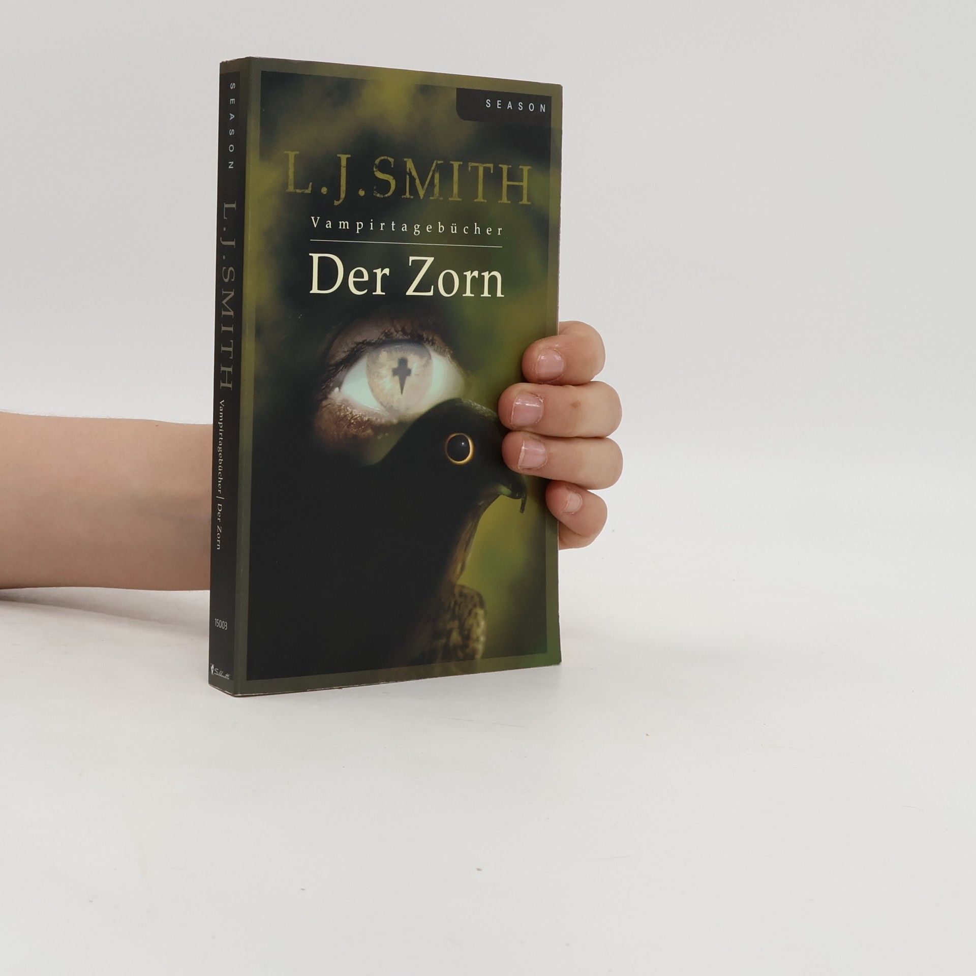 L. J. Smith Vampirtagebücher. Der Zorn