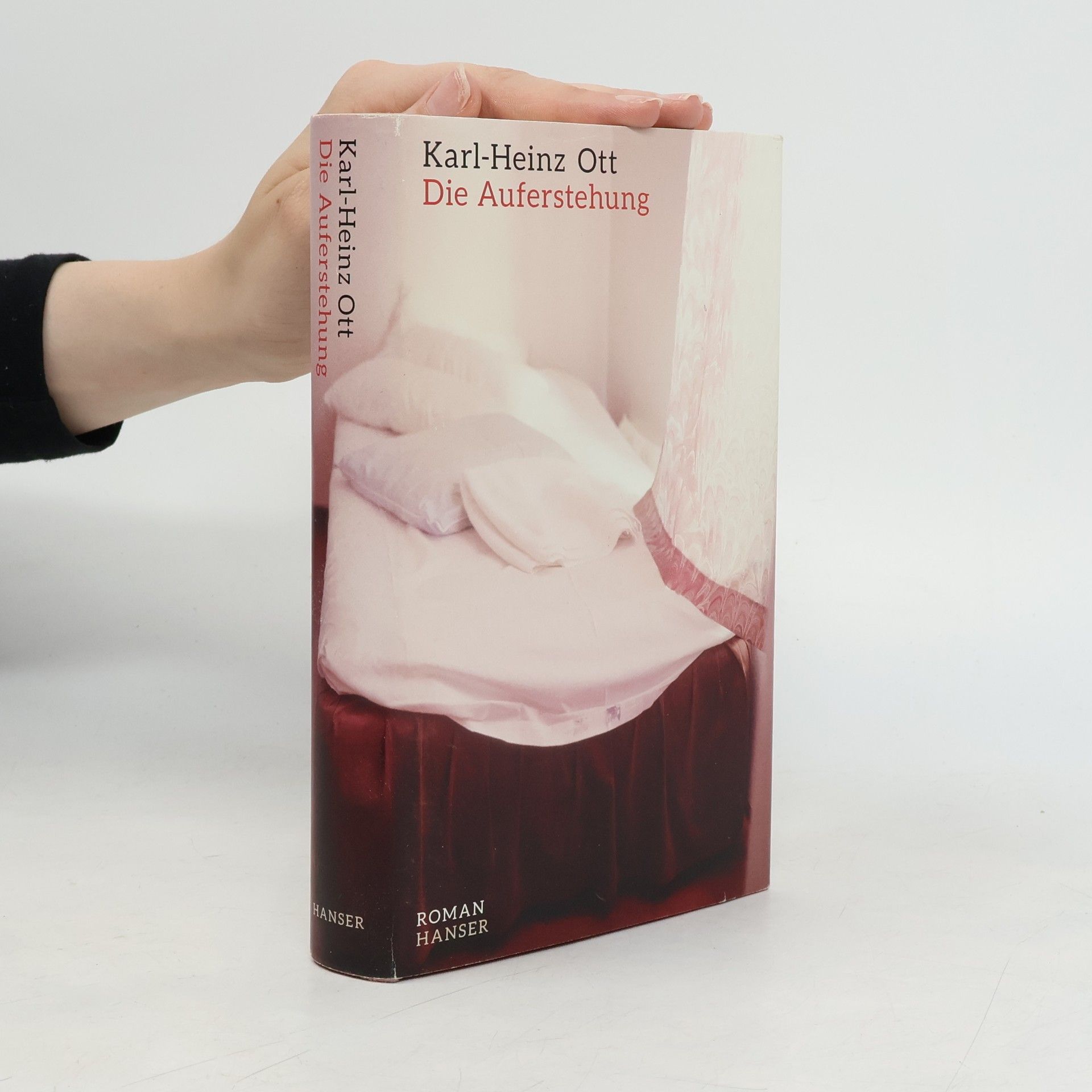 Karl Heinz Ott Die Auferstehung