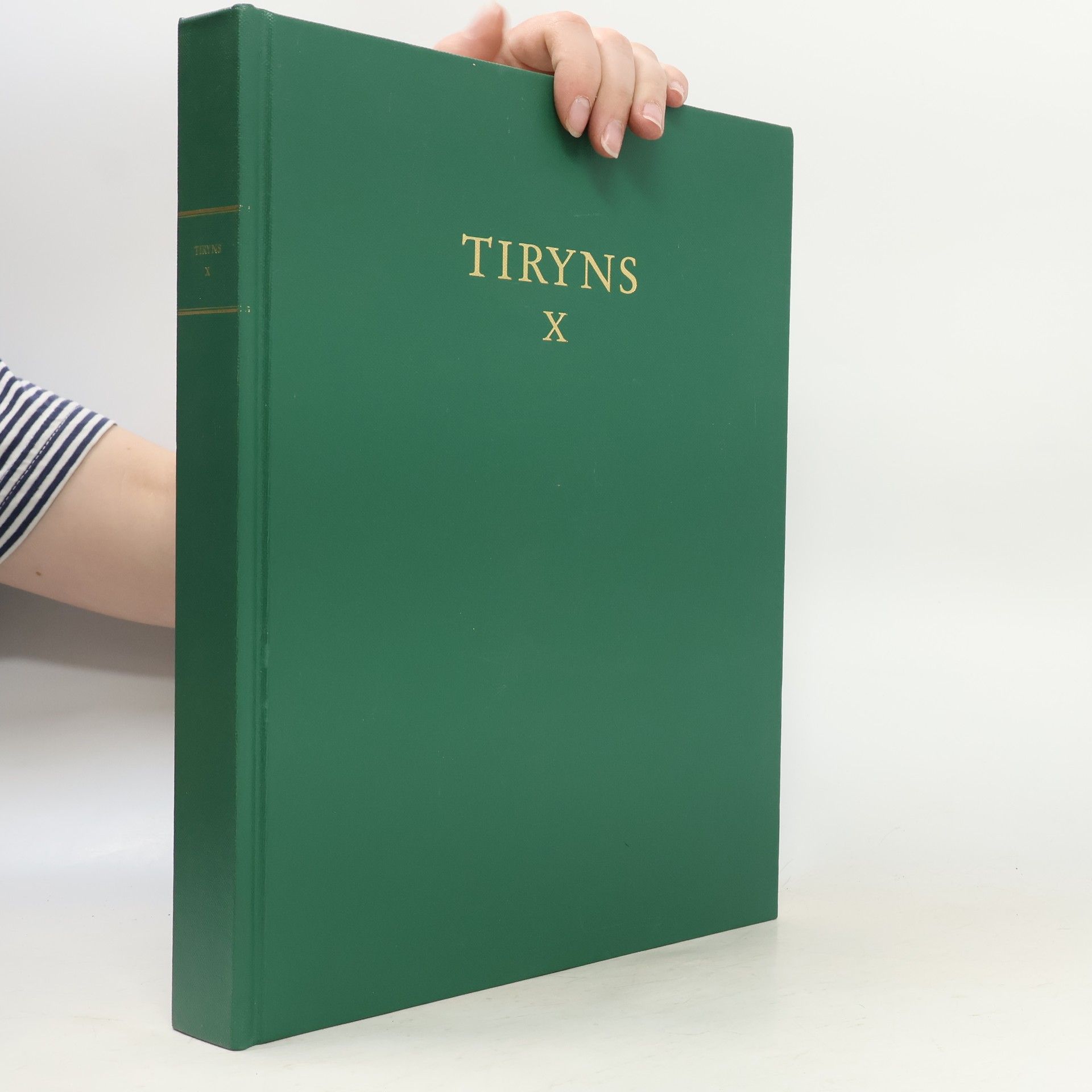 Walter Voigtländer Tiryns, Forschungen und Berichte X