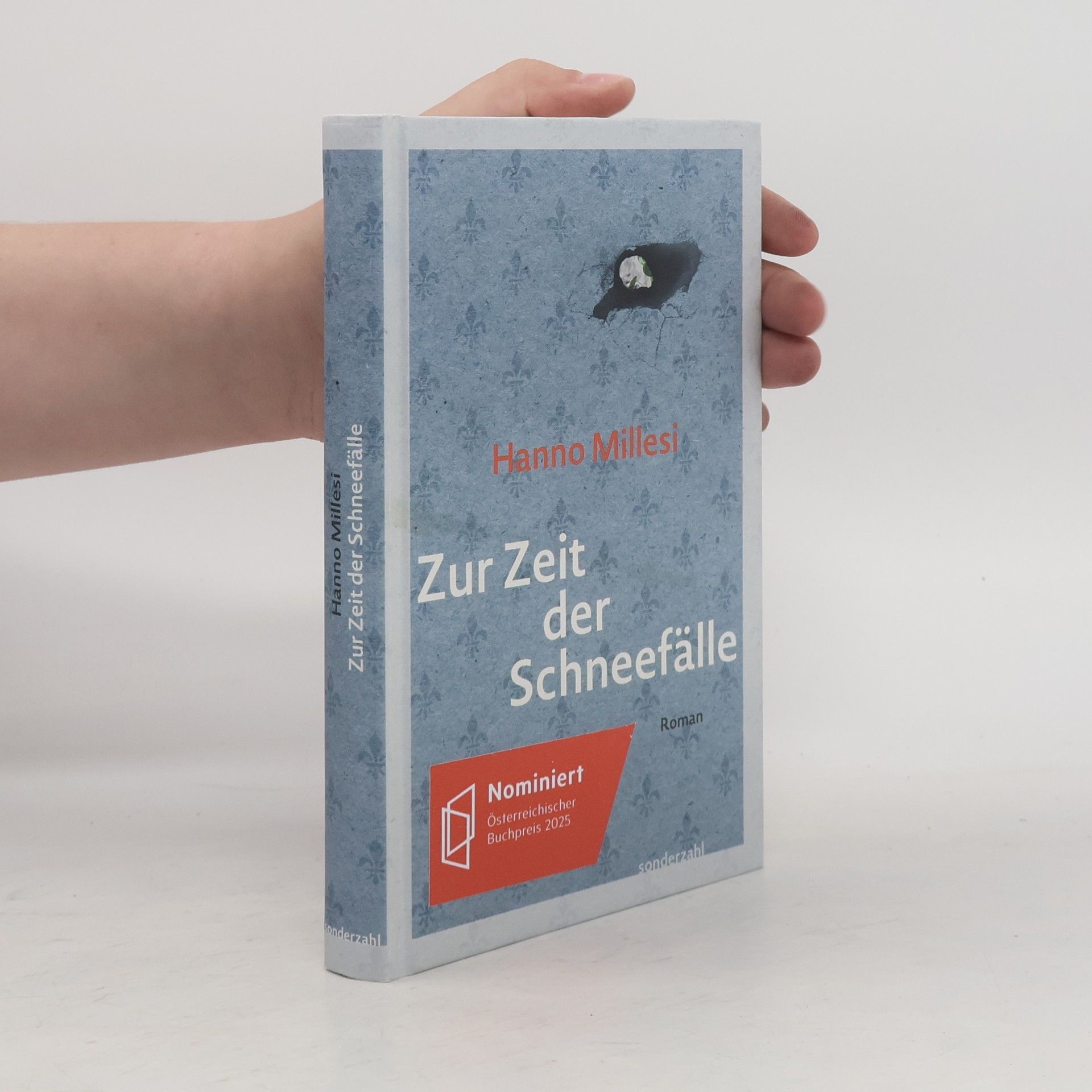 Hanno Millesi Zur Zeit der Schneefälle