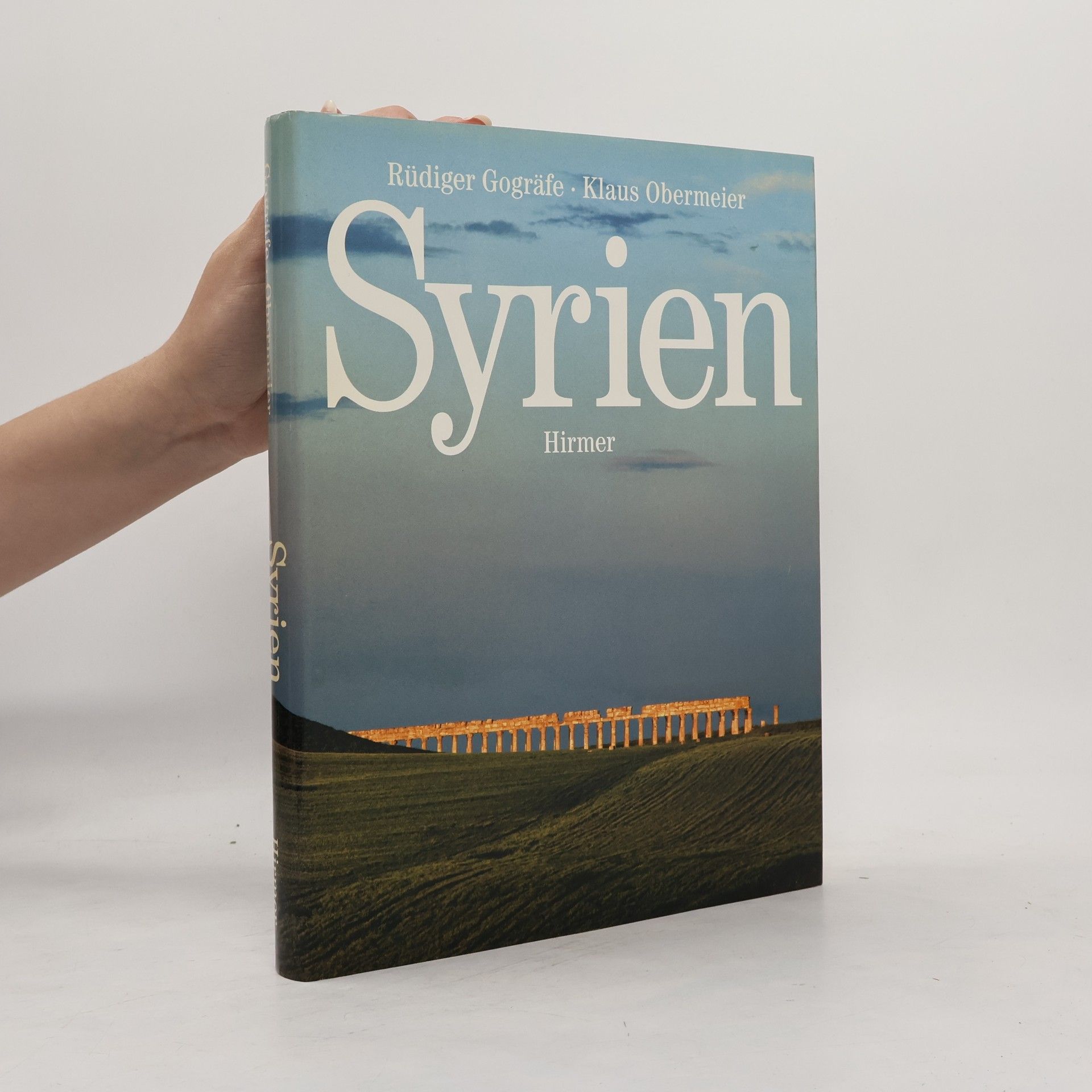 Rüdiger Gogräfe Syrien