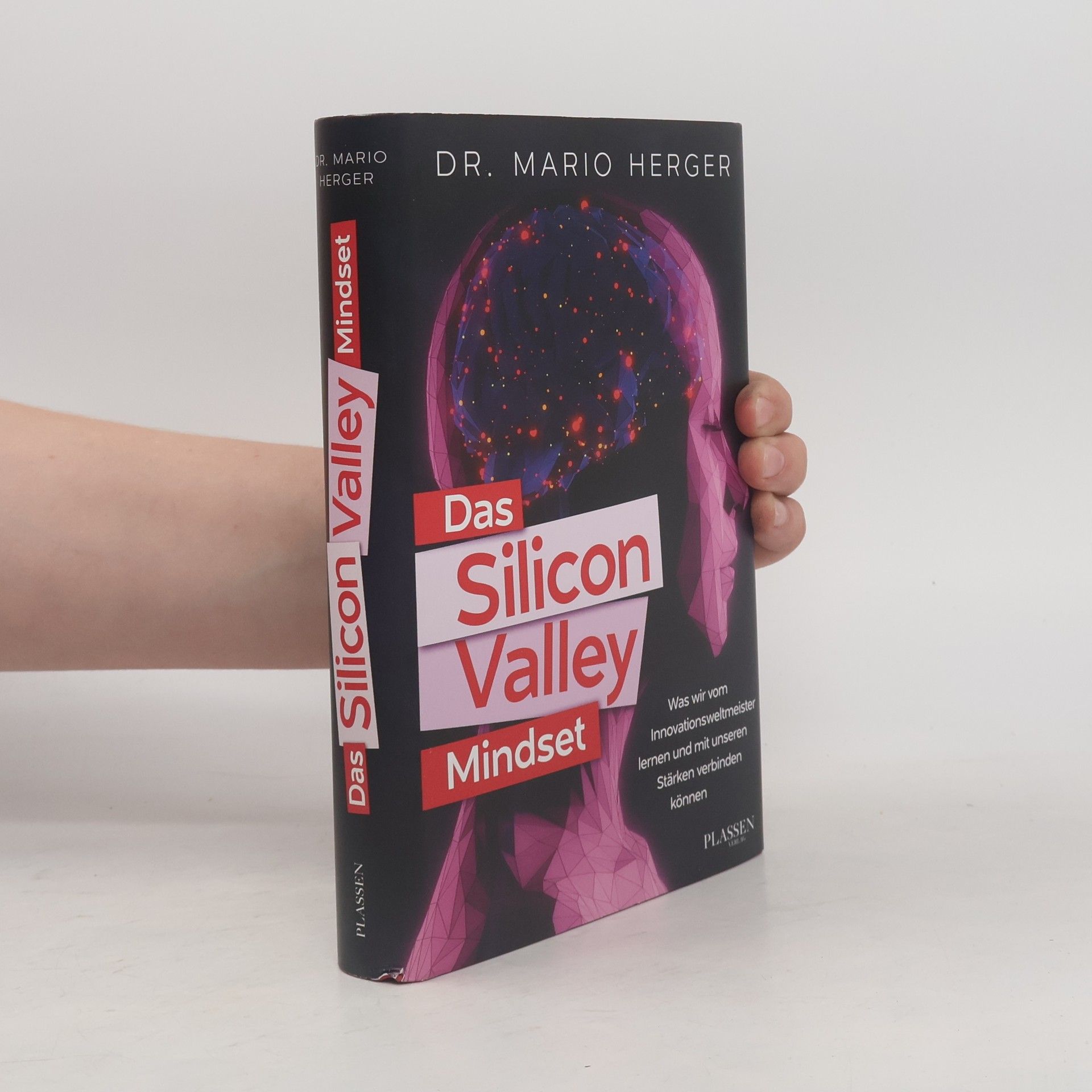 Mario Herger Das Silicon-Valley-Mindset