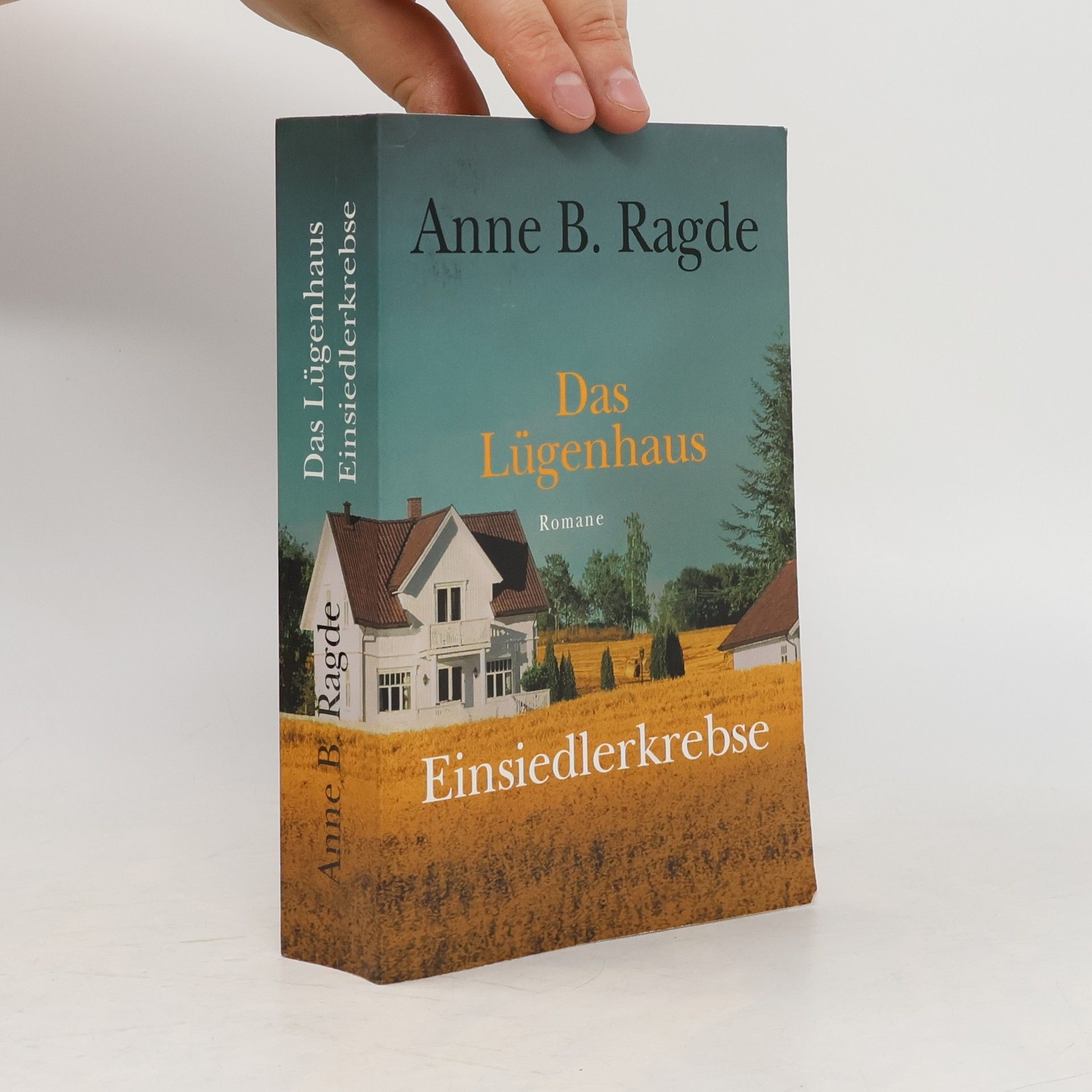 Anne B. Ragde Das Lügenhaus