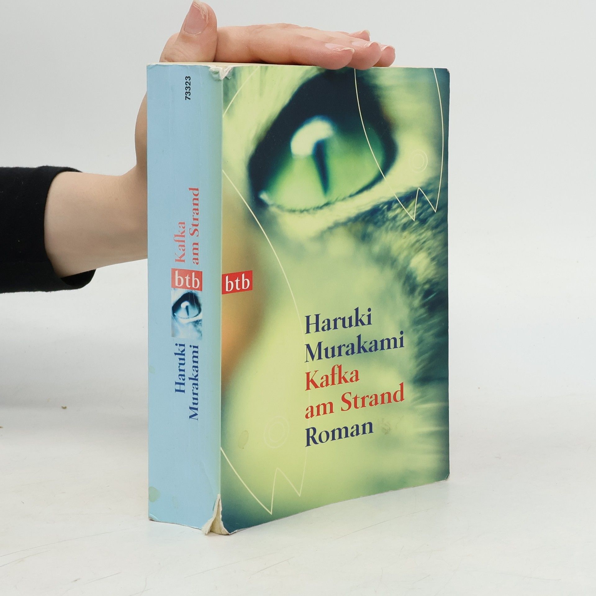 Haruki Murakami Kafka am Strand