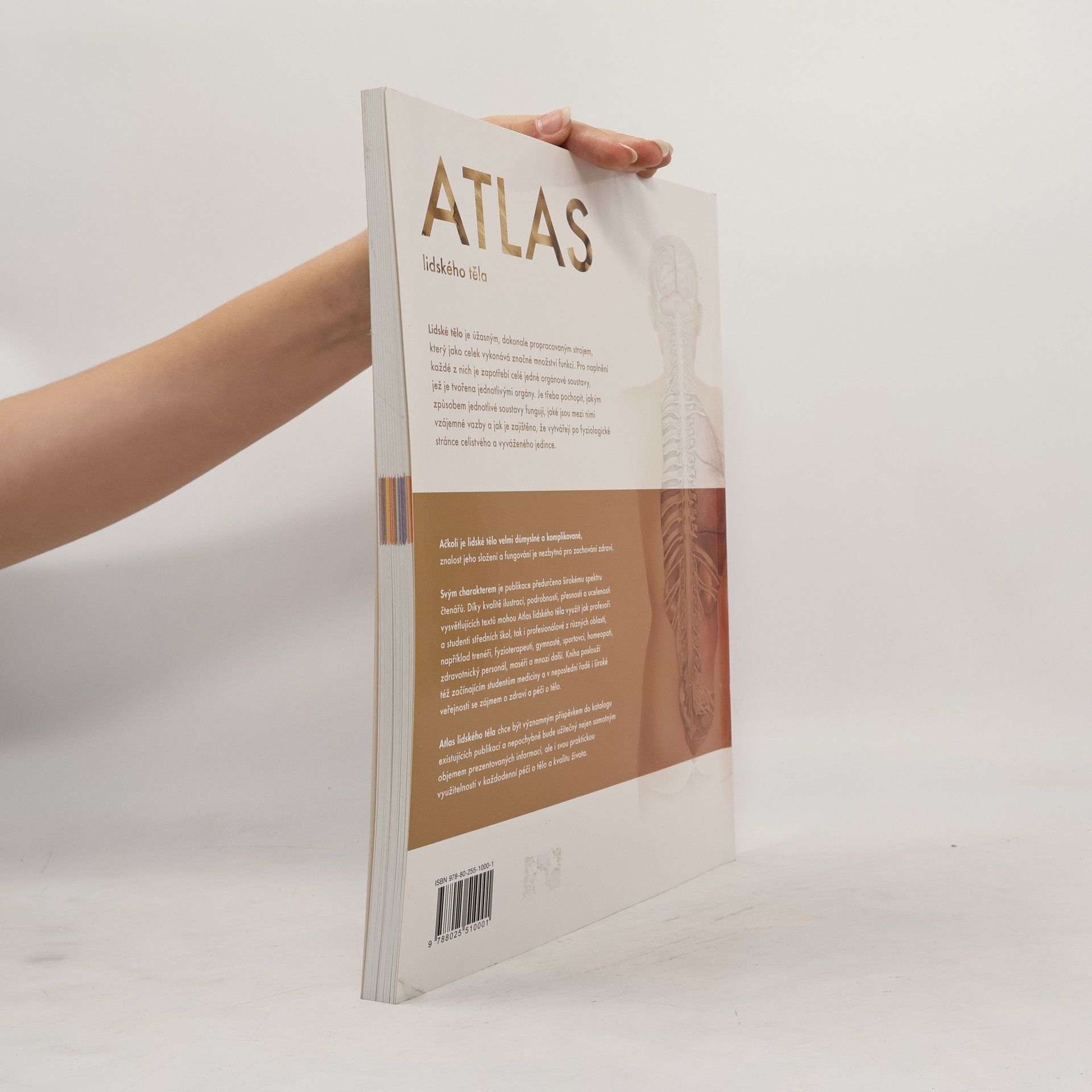 Autorenkollektiv Atlas lidského těla
