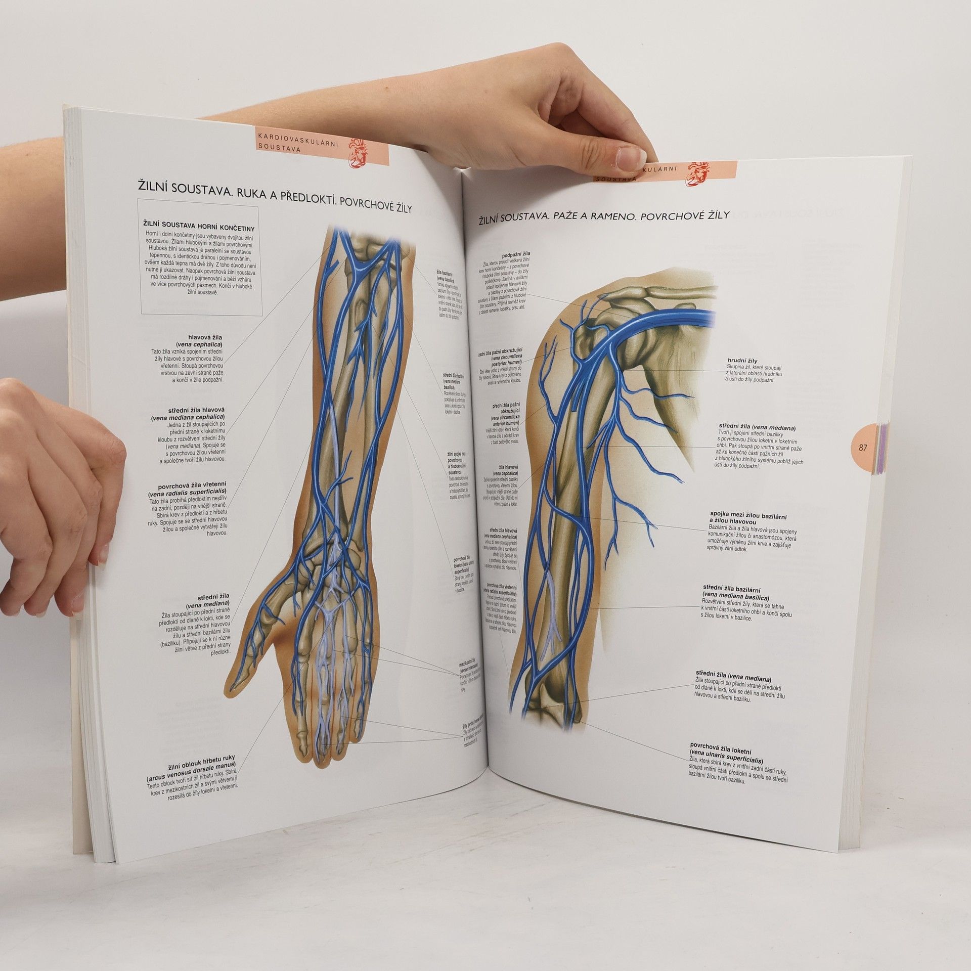 Autorenkollektiv Atlas lidského těla