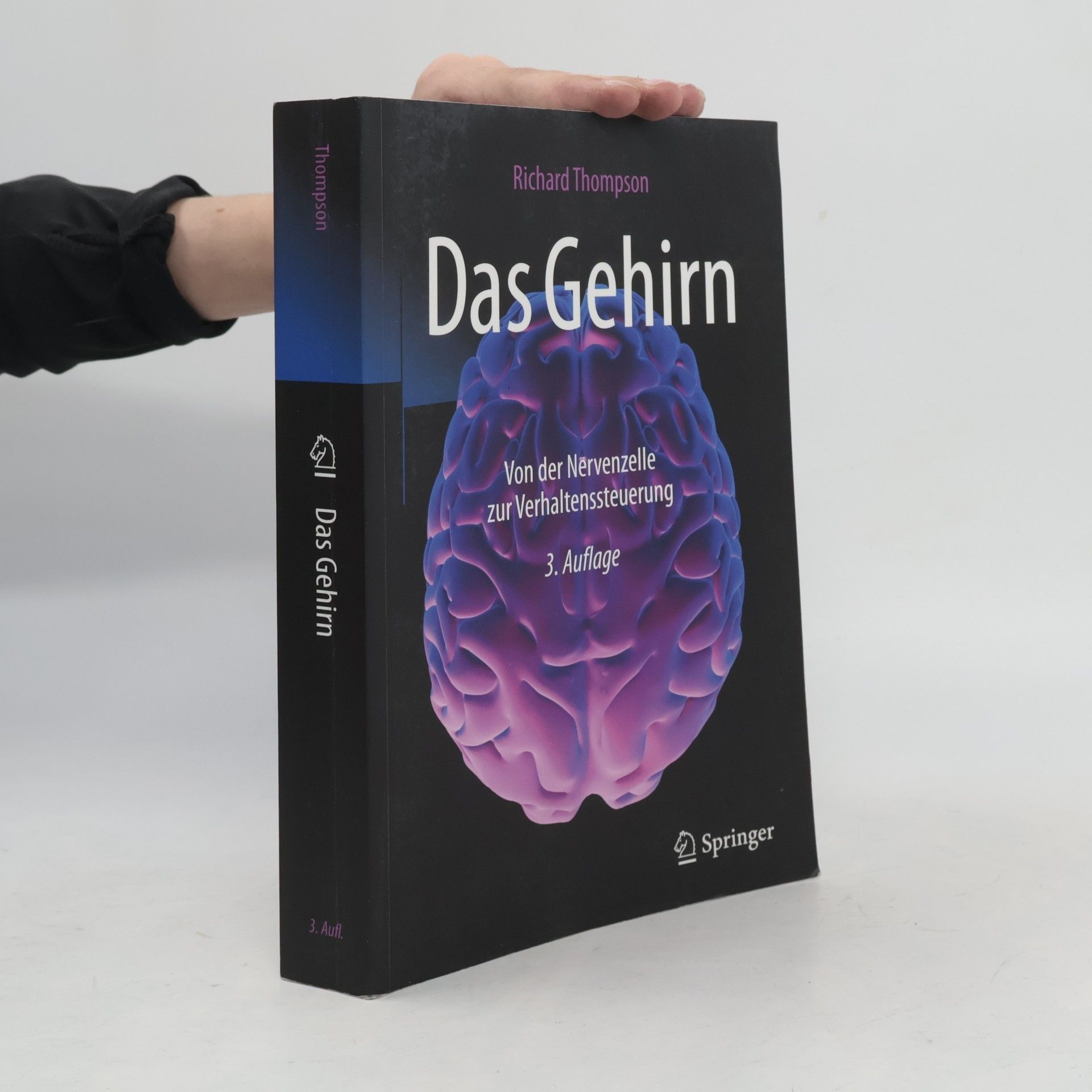 Das Gehirn