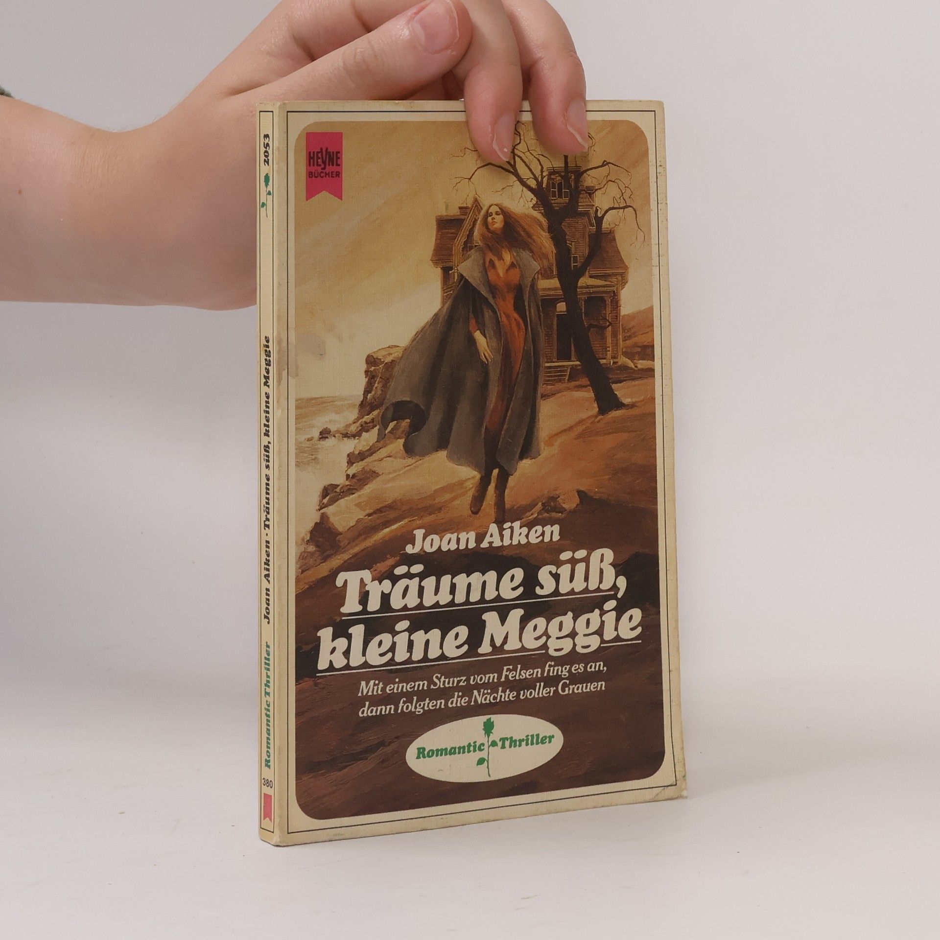 Joan Aiken Träume süß, kleine Meggie