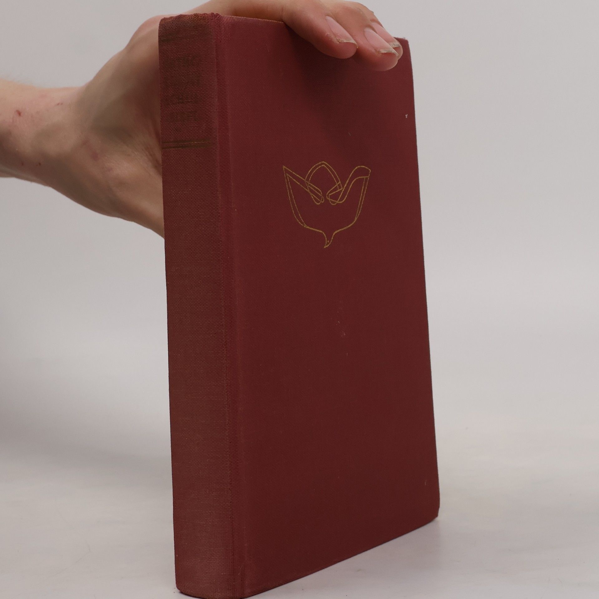 Kolektiv autorů Katolische Schulbibel