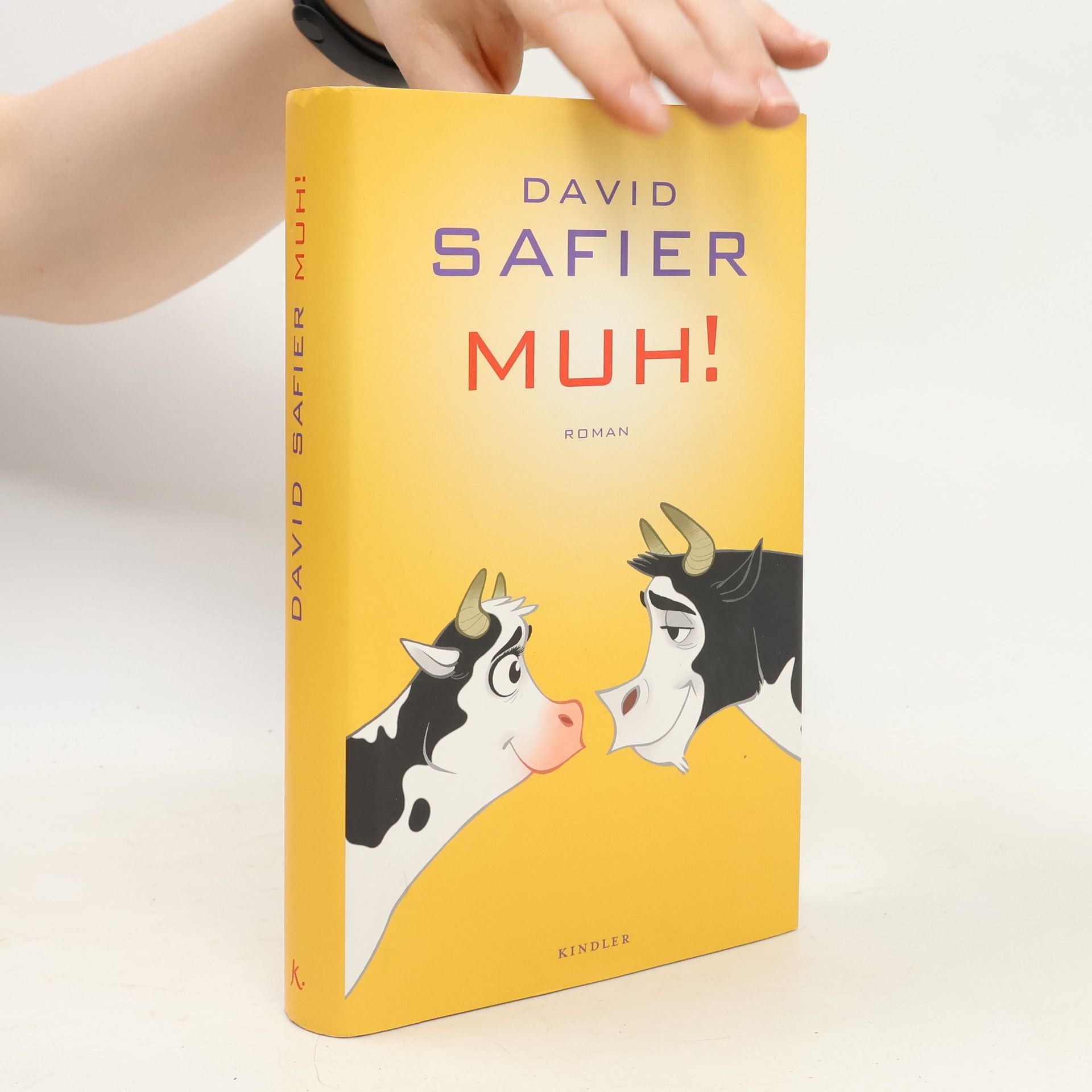 David Safier Muh!