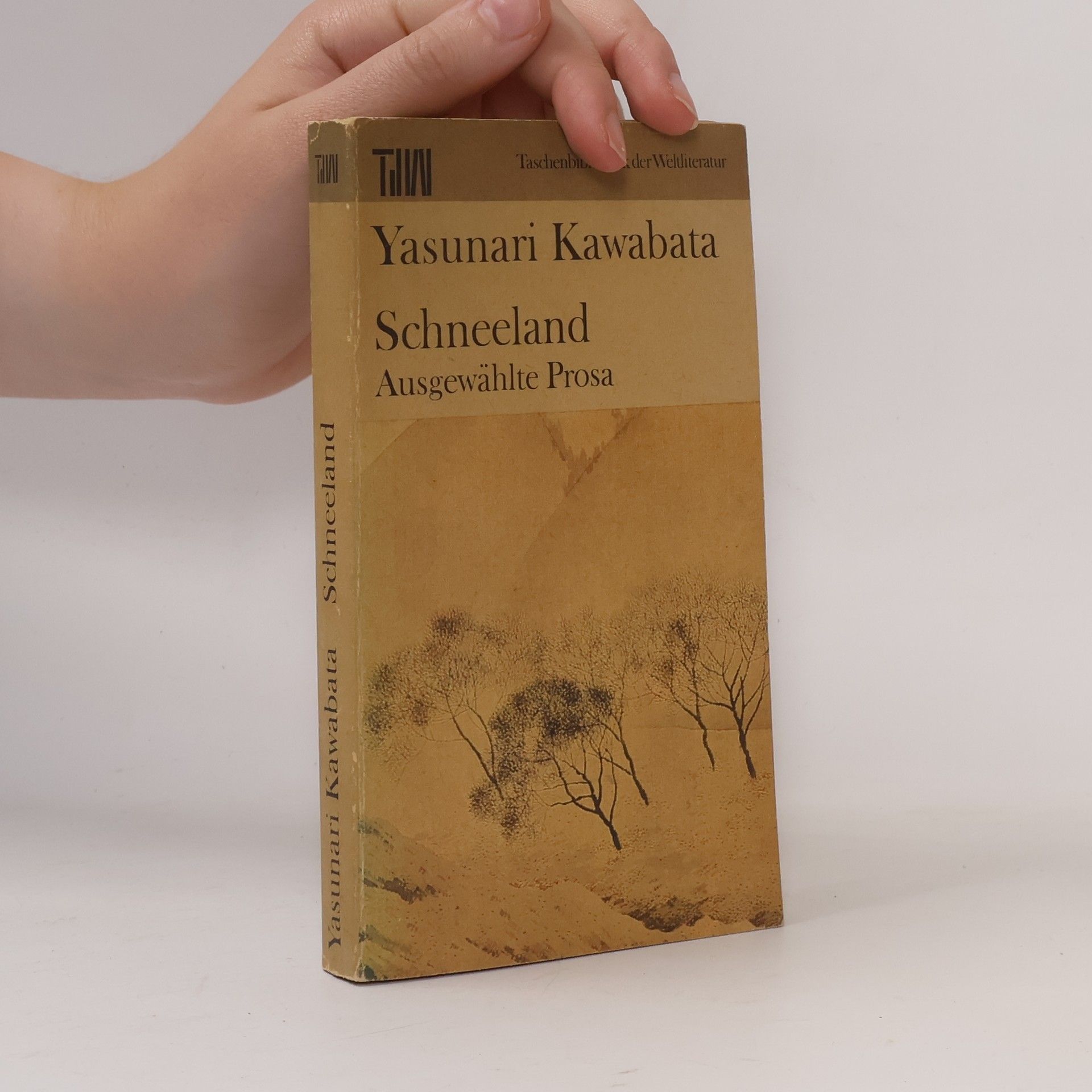 Jasunari Kawabata Schneeland. Ausgewählte Prosa