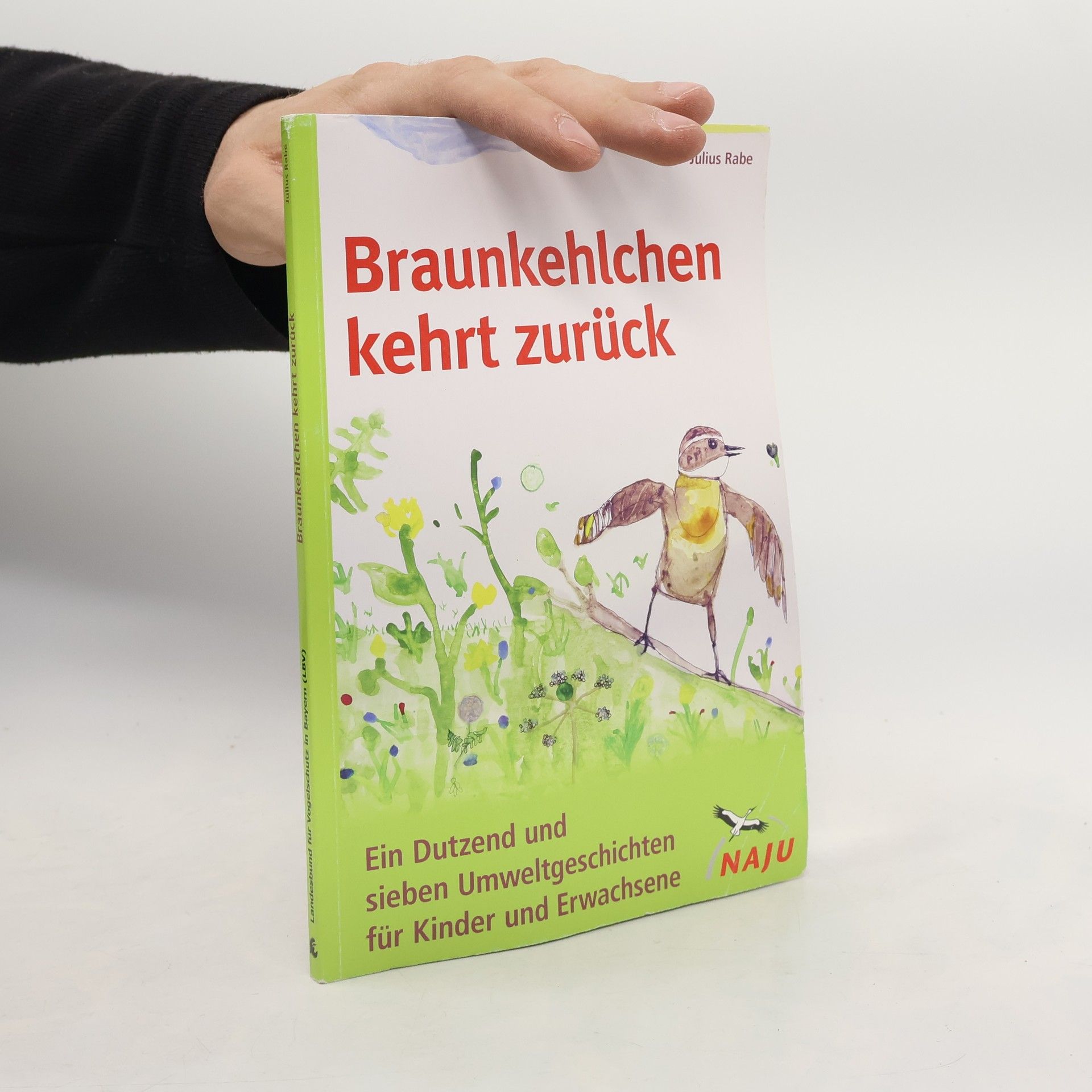 Julius Rabe Braunkehlchen kehrt zurück