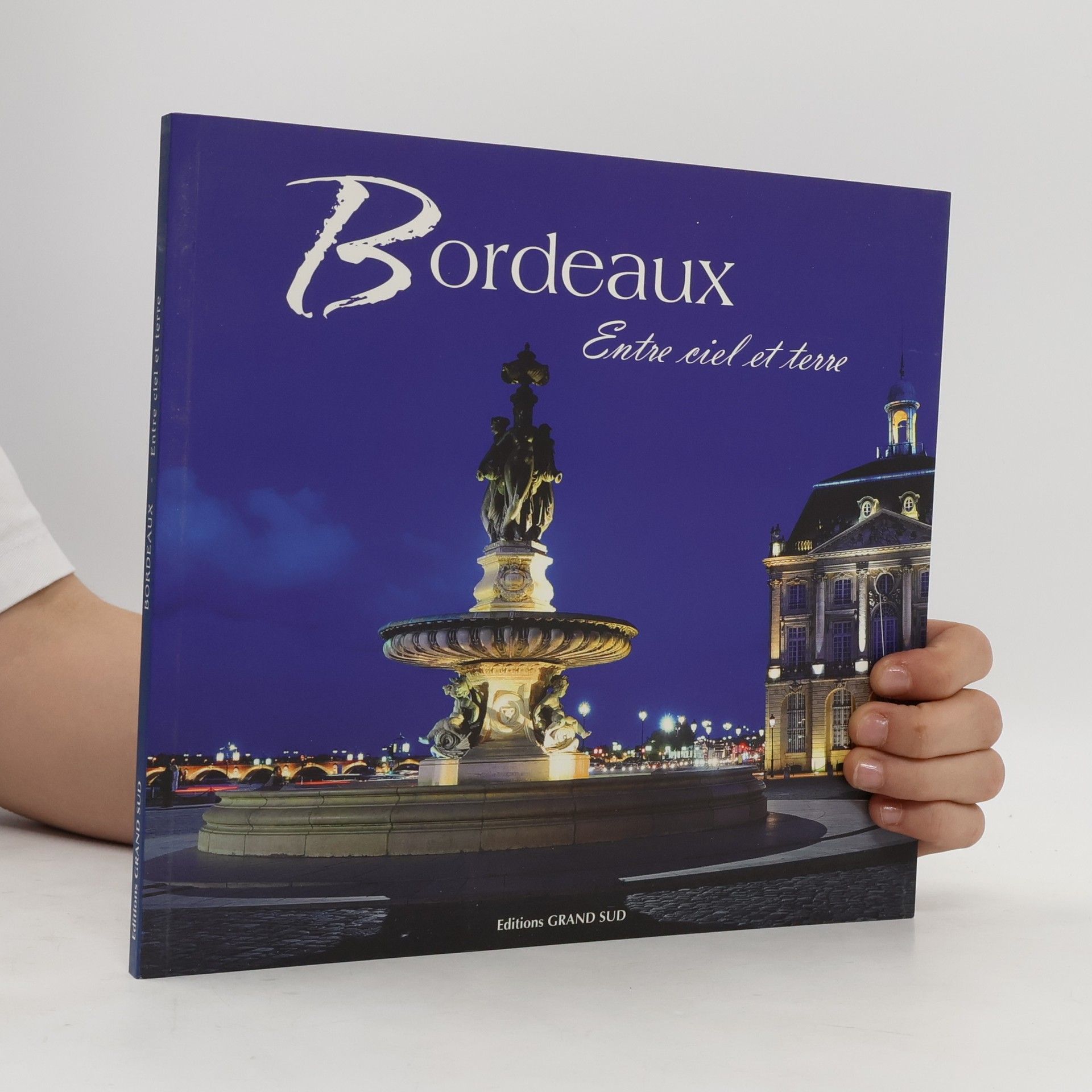 Patrice Blot Bordeaux, entre ciel et terre - French Edition
