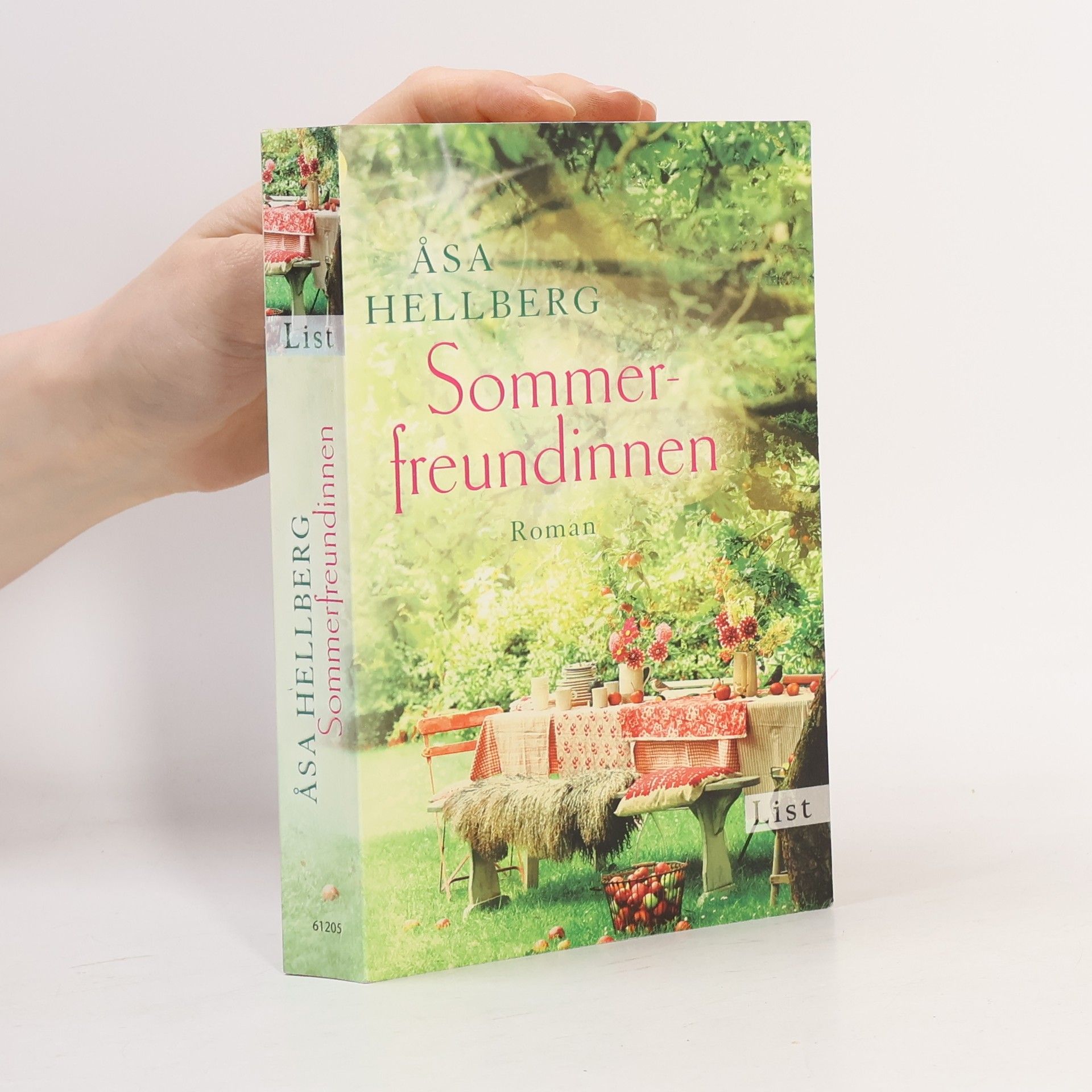 Åsa Hellberg Sommerfreundinnen