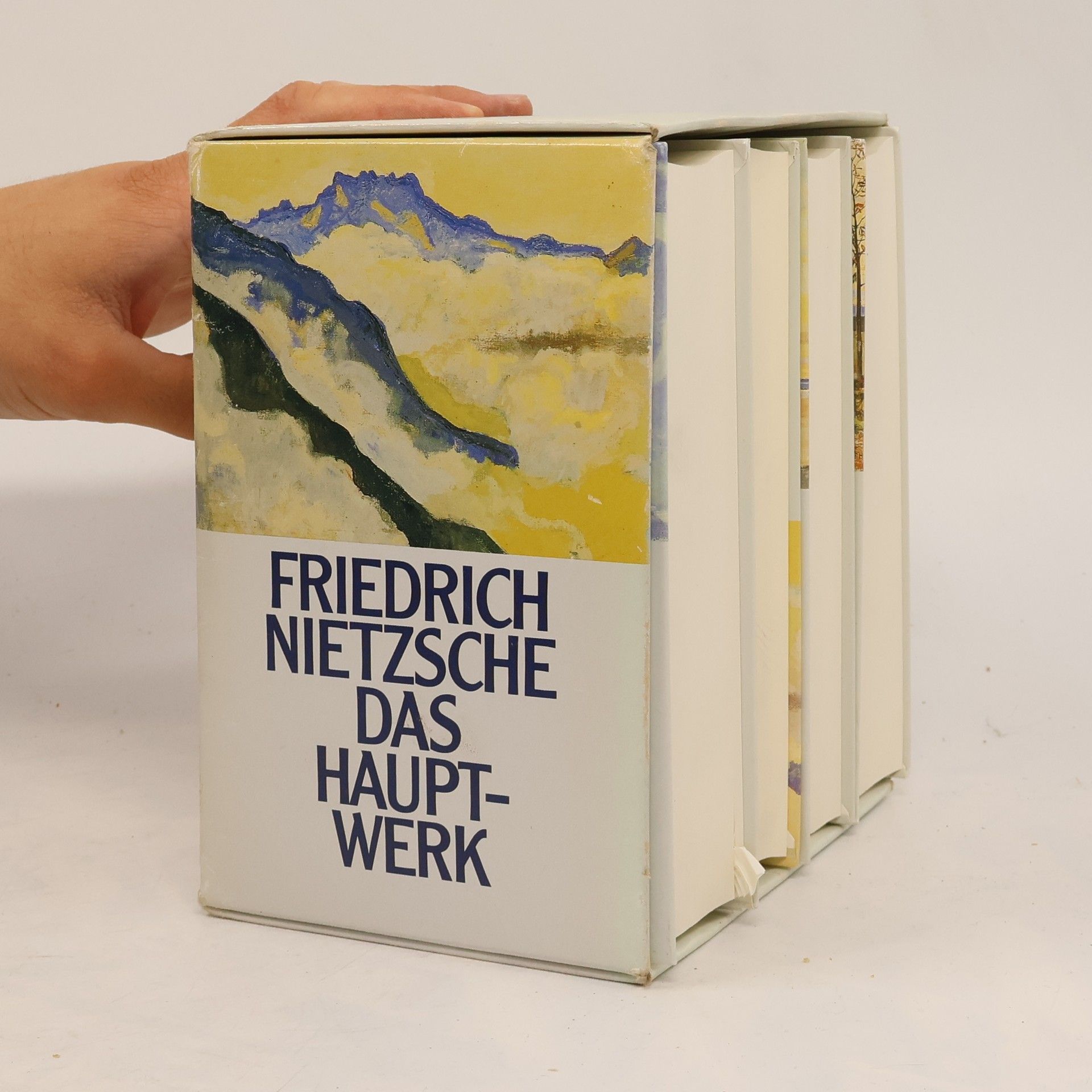 Friedrich Wilhelm Nietzsche Das Hauptwerk II