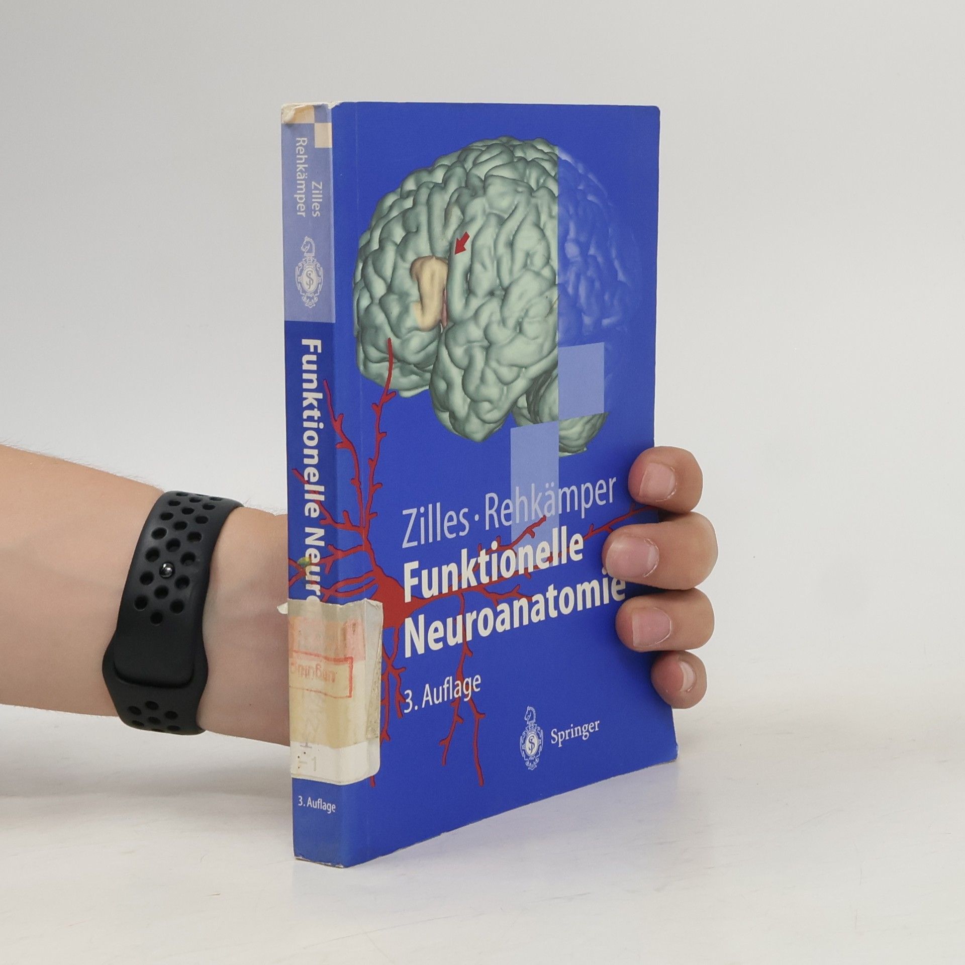 Karl Zilles Funktionelle Neuroanatomie