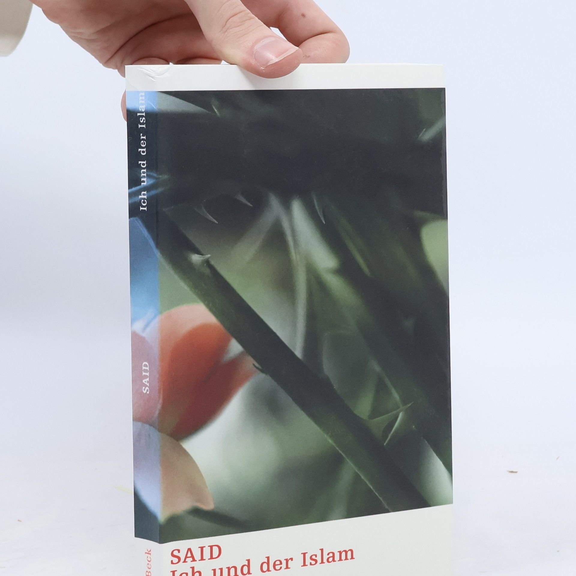 Kolektív autorov Ich und der Islam