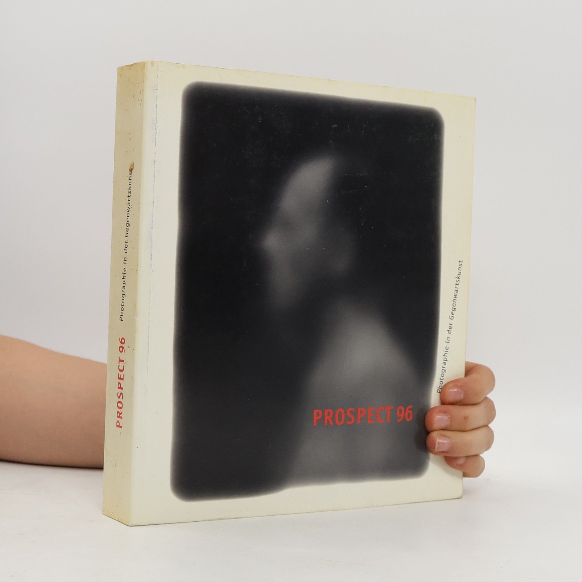 Peter Weiermair Photographie in der Gegenwartskunst