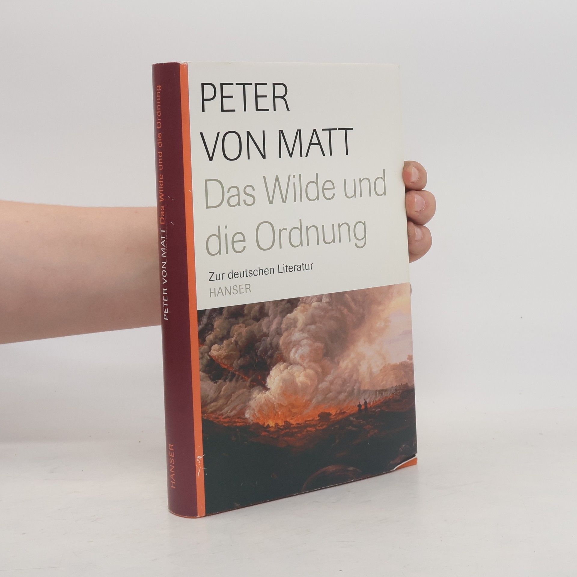 Das Wilde und die Ordnung: zur deutschen Literatur