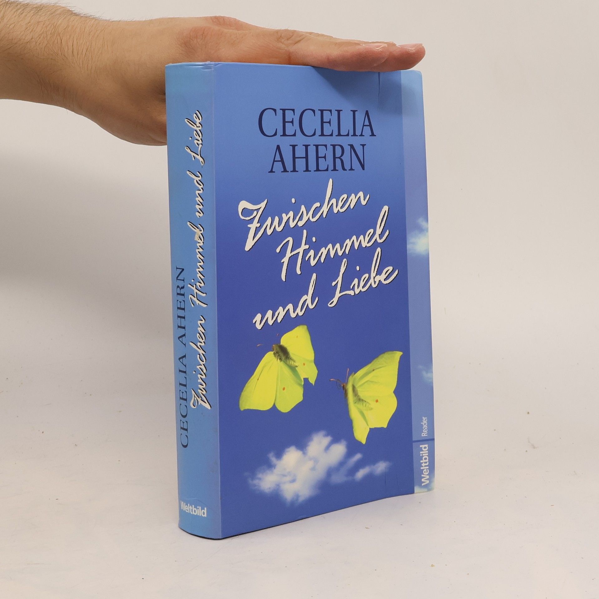 Cecelia Ahern Zwischen Himmel und Liebe