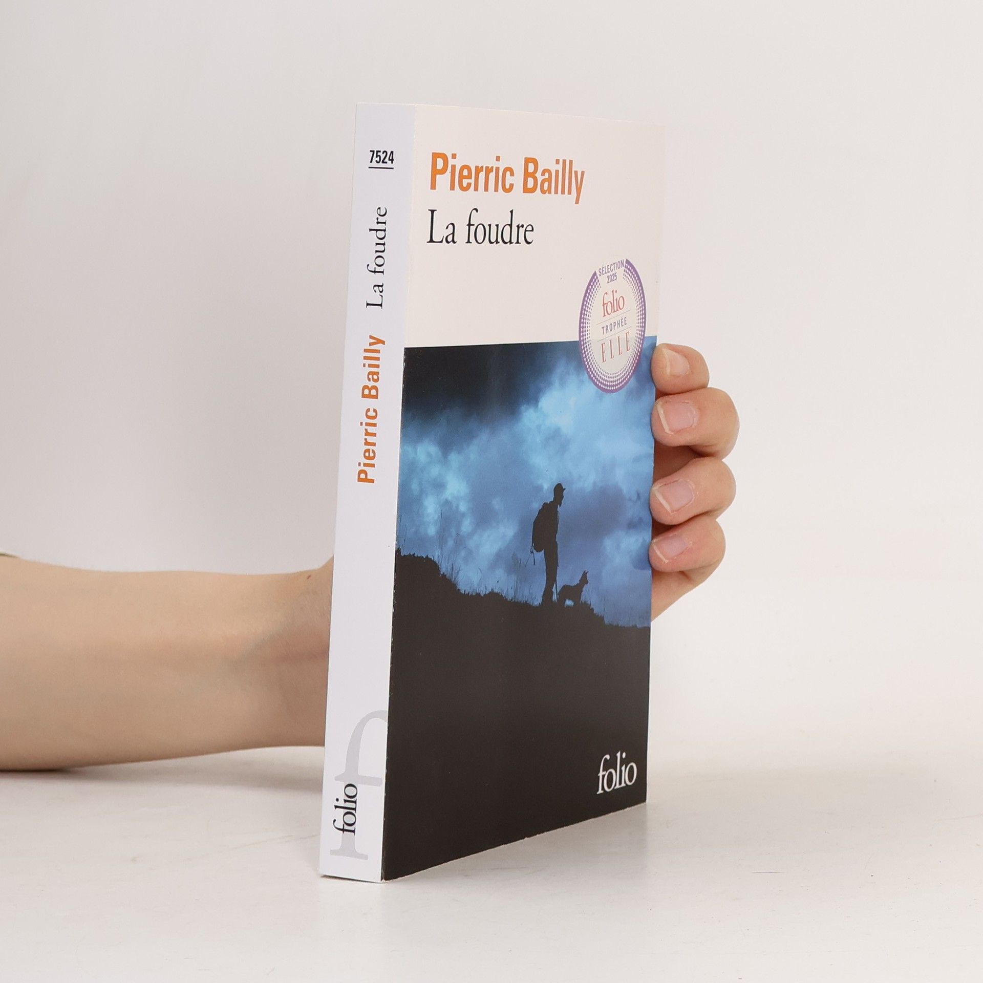 Pierric Bailly Folio: La foudre