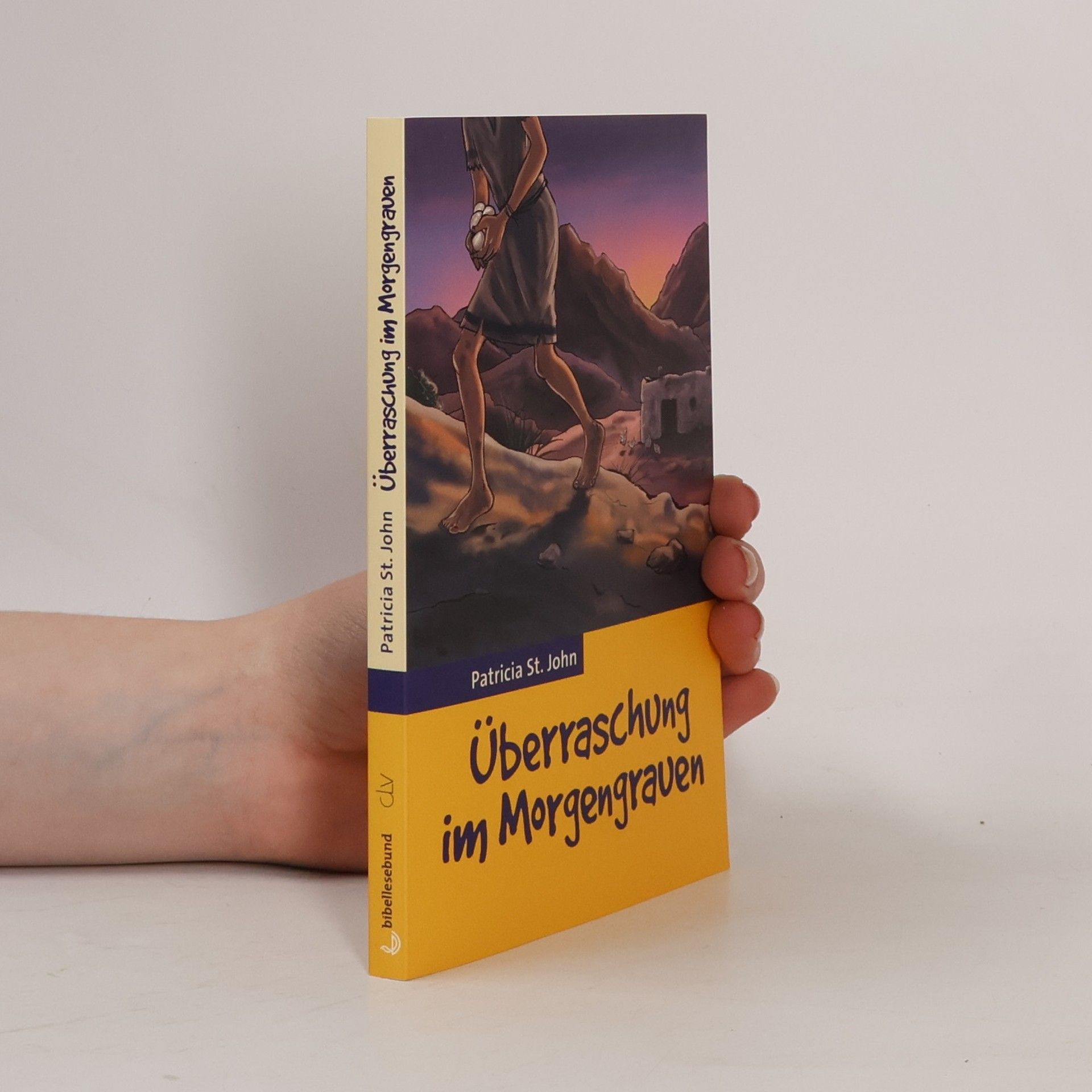 Patricia St. John Überraschung im Morgengrauen