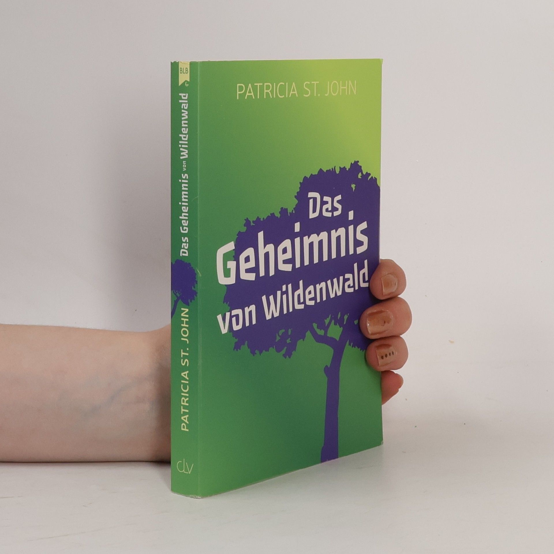Patricia St. John Das Geheimnis von Wildenwald