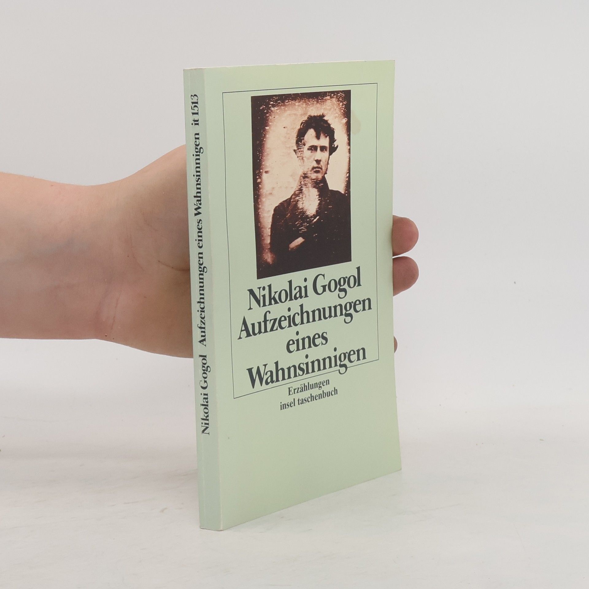 Nikolaj Vasilevič Gogol Aufzeichnungen eines Wahnsinnigen