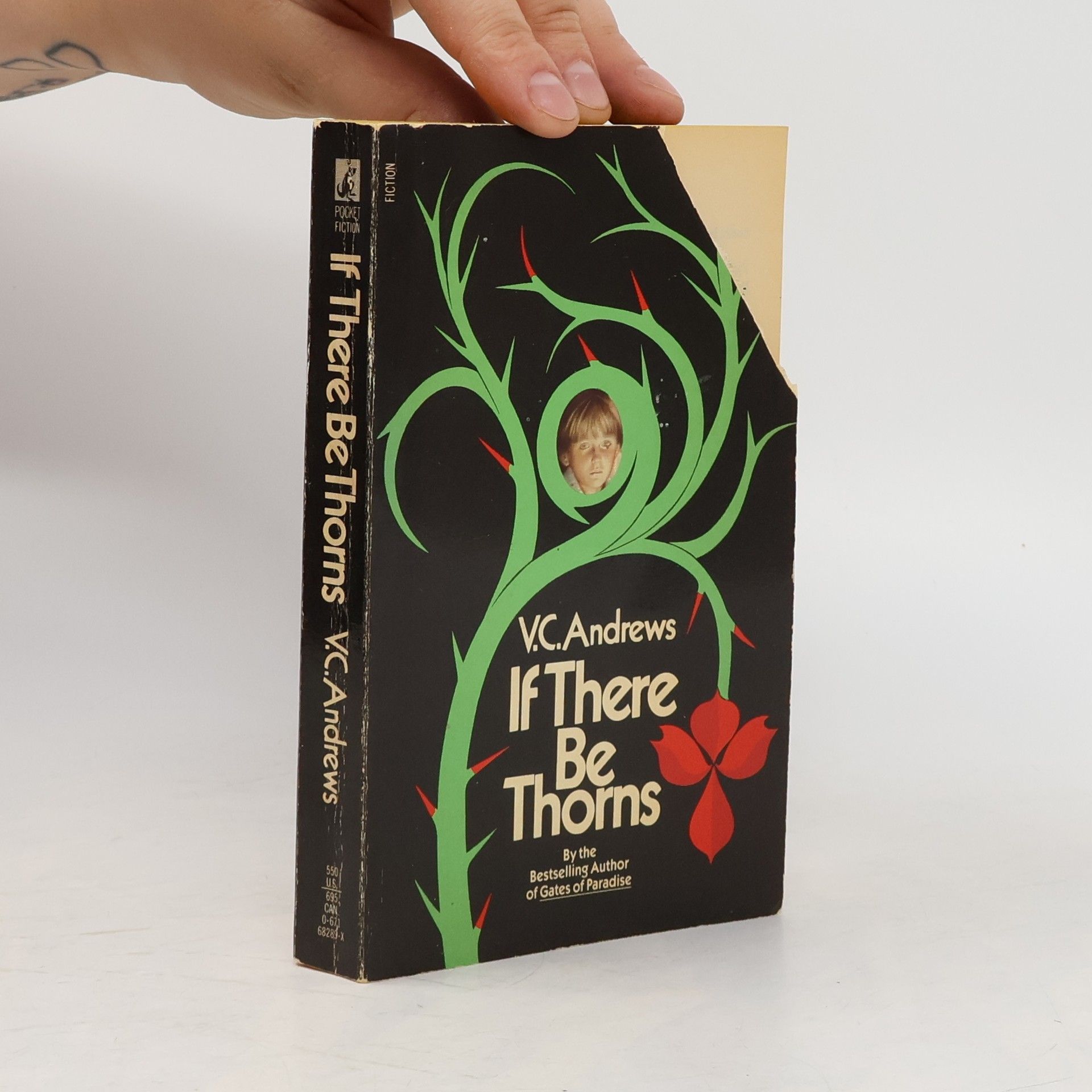 Virginia Cleo Andrews If There Be Thorns