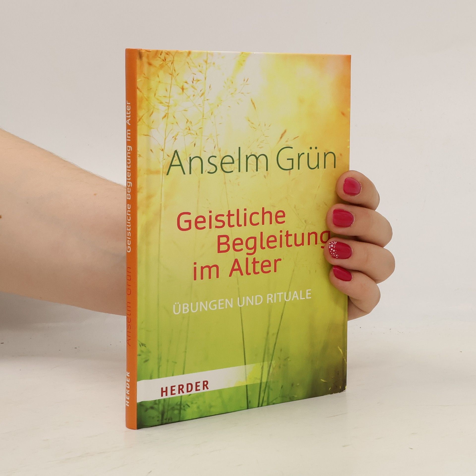 Anselm Grün Geistliche Begleitung im Alter