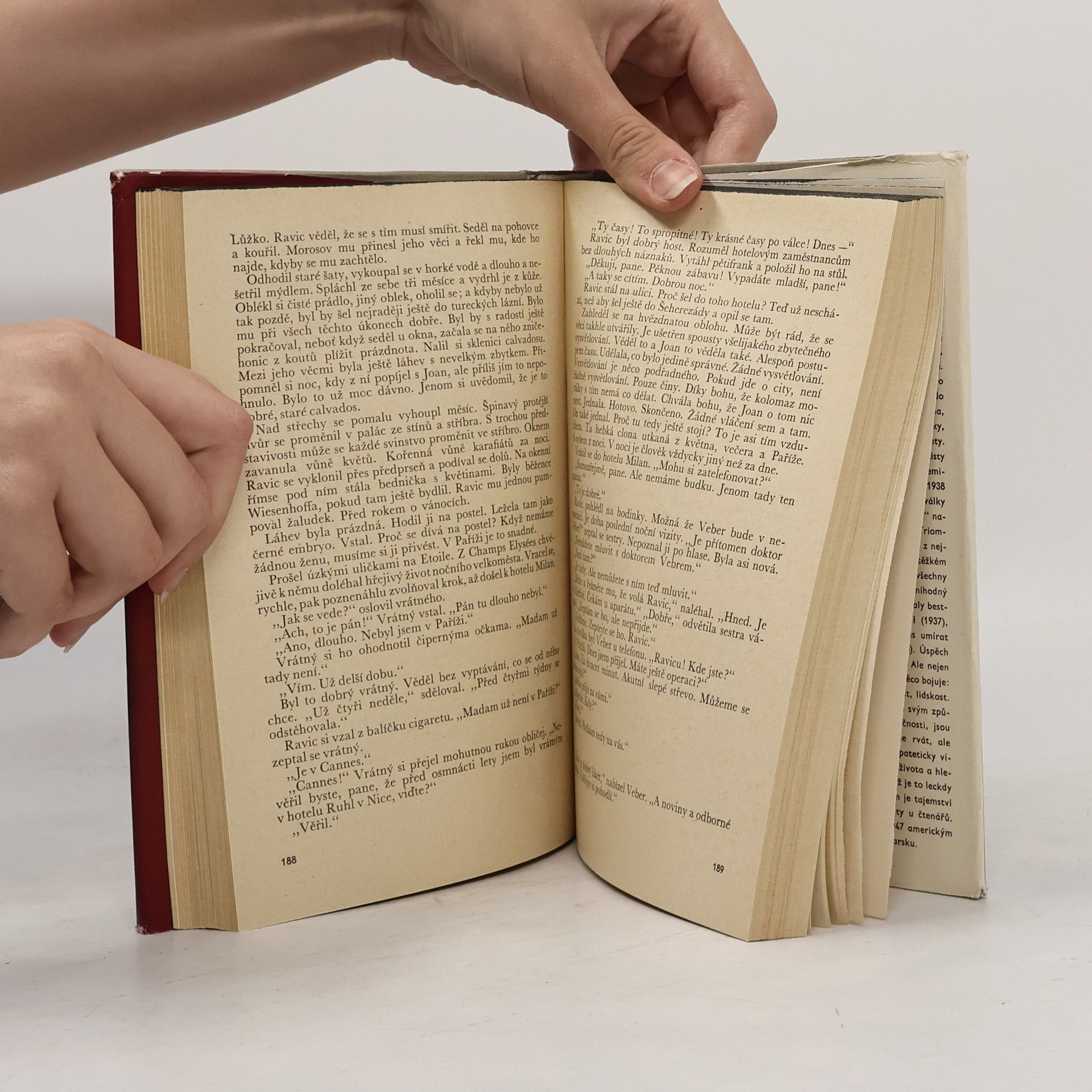 Erich Maria Remarque Vítězný oblouk