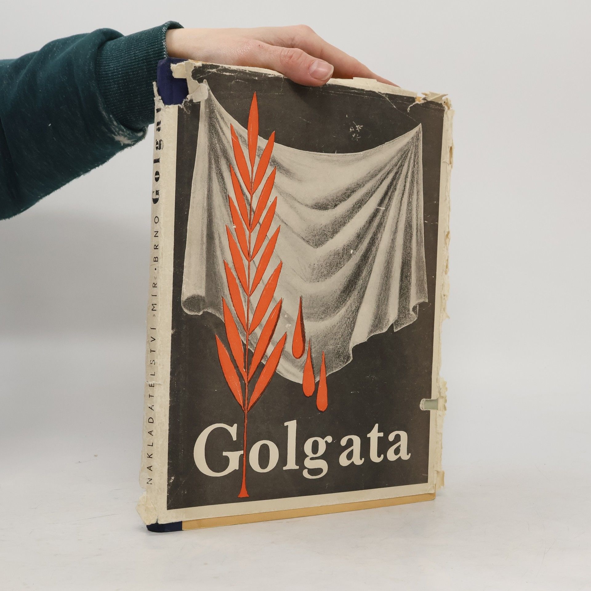 Rajmund Habřina Golgata. věčné memento brněnských žalářů