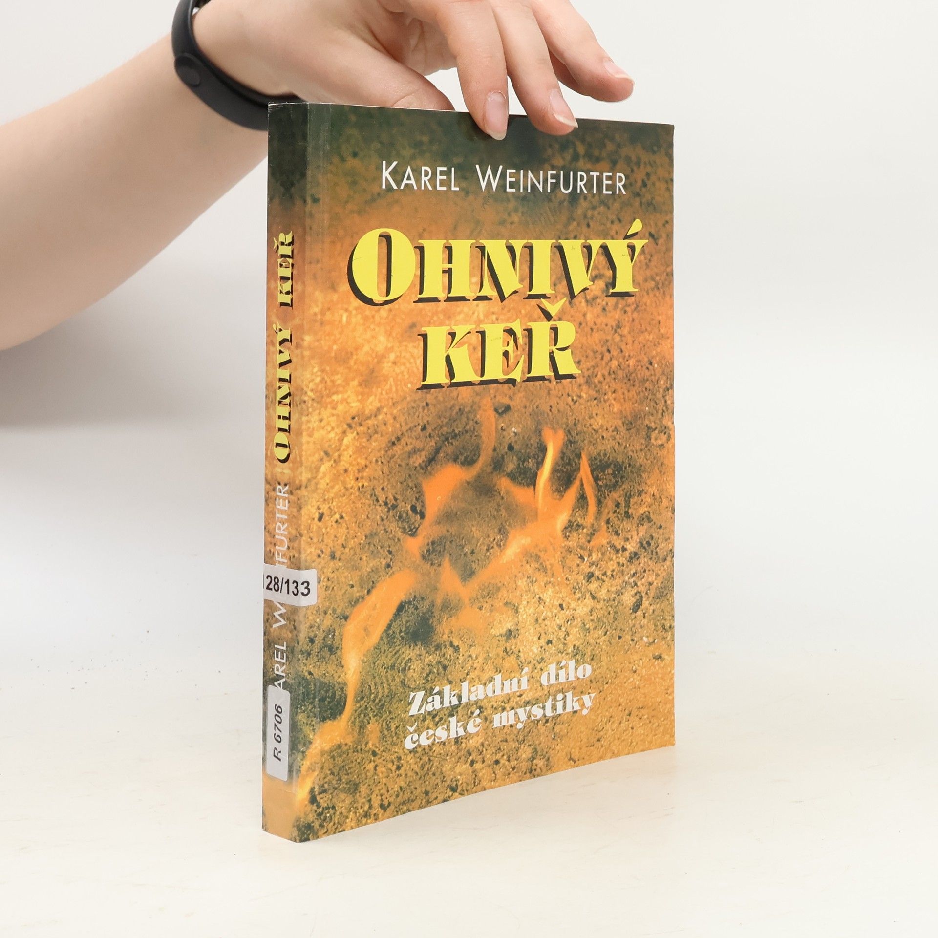 Karel Weinfurter Ohnivý keř