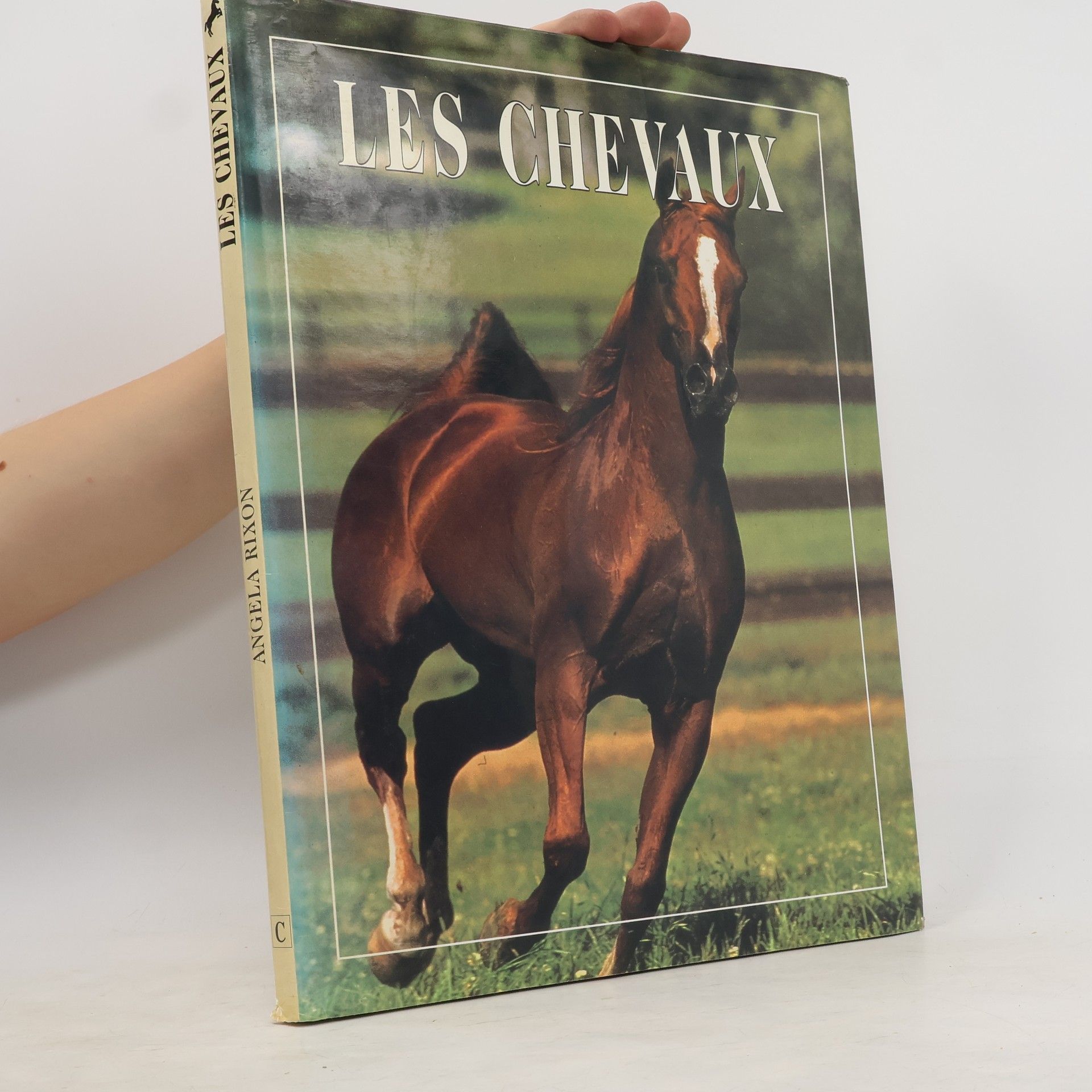 Angela Rixon Les chevaux