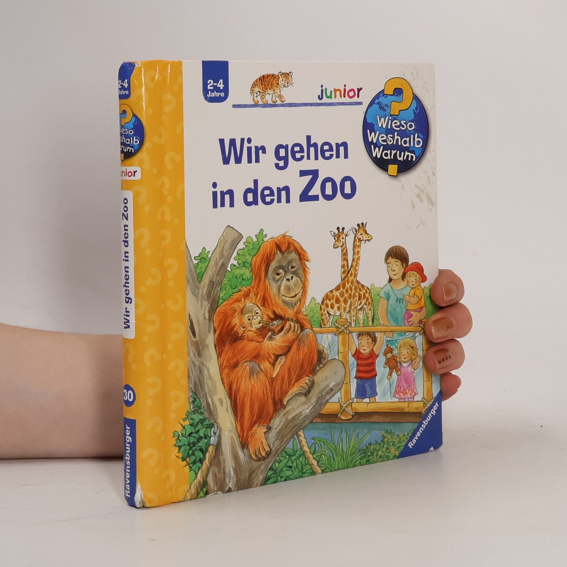 Ursula Weller Wir gehen in den Zoo