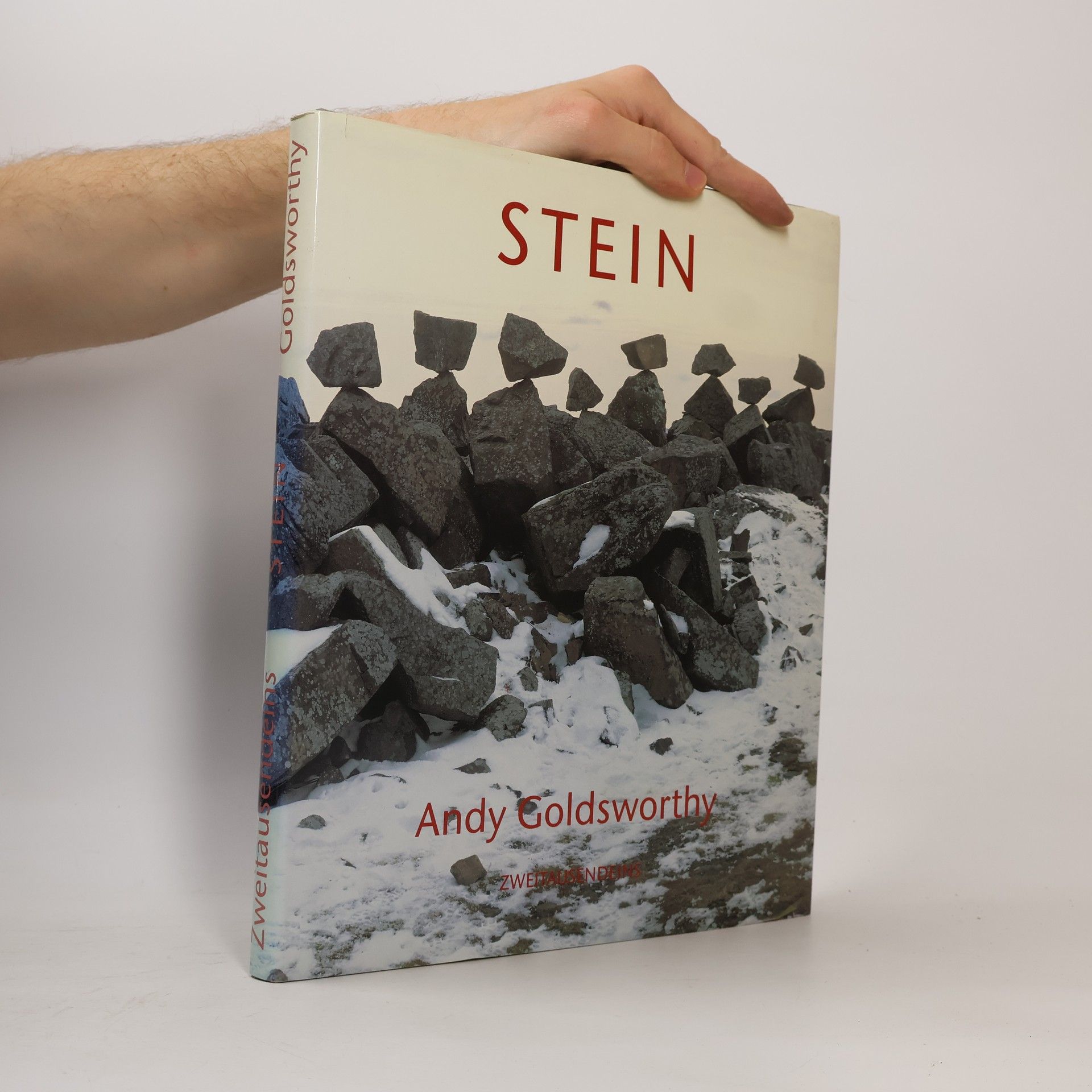 Andy Goldsworthy Stein