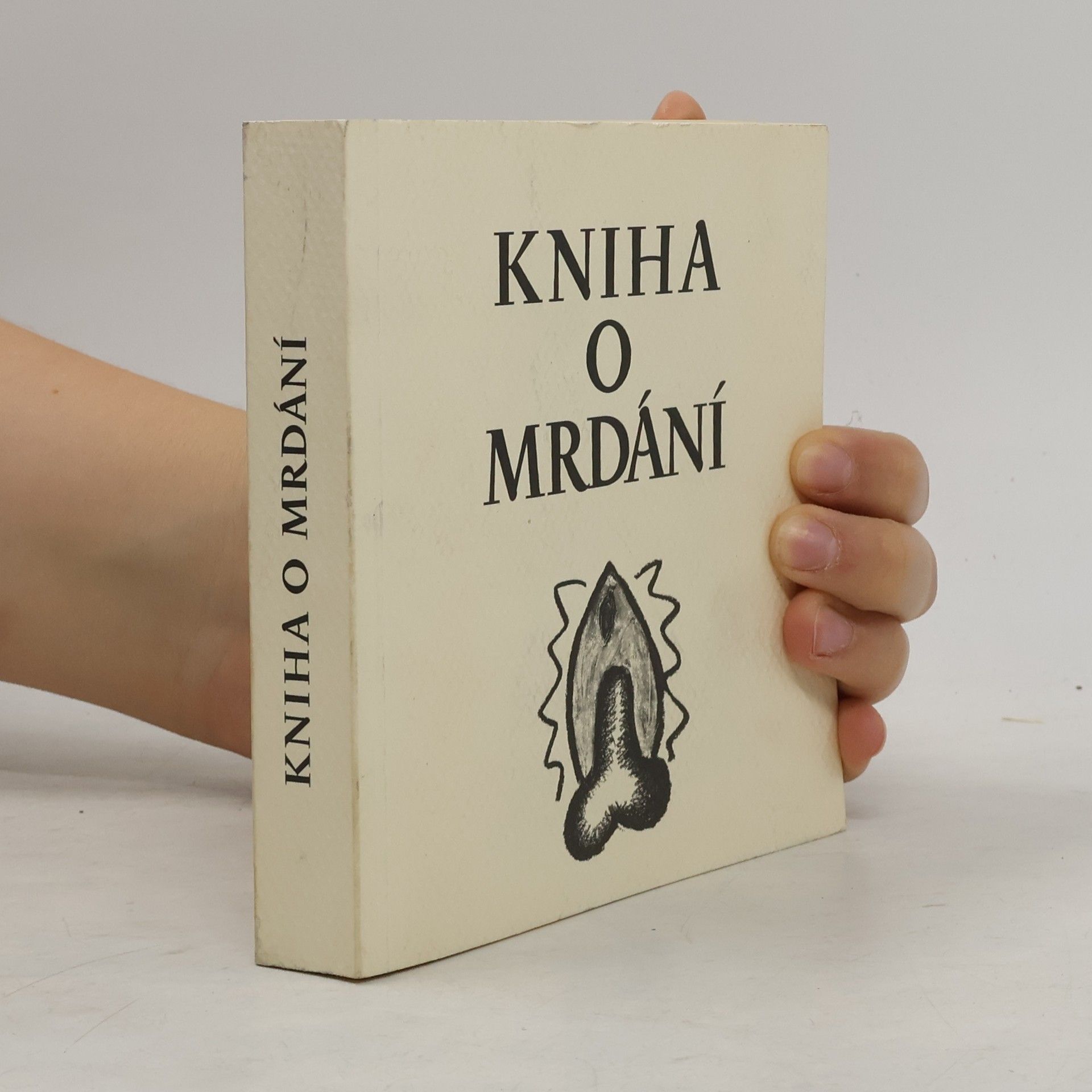 Nela D. Aston Kniha o mrdání