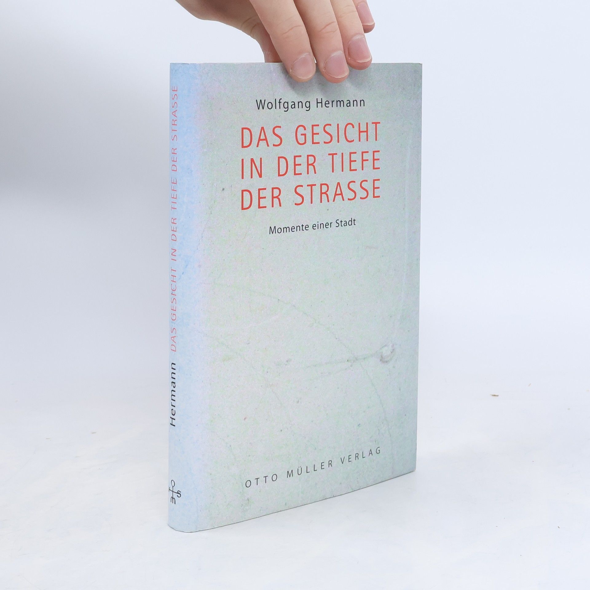 Wolfgang Hermann Das Gesicht in der Tiefe der Straße