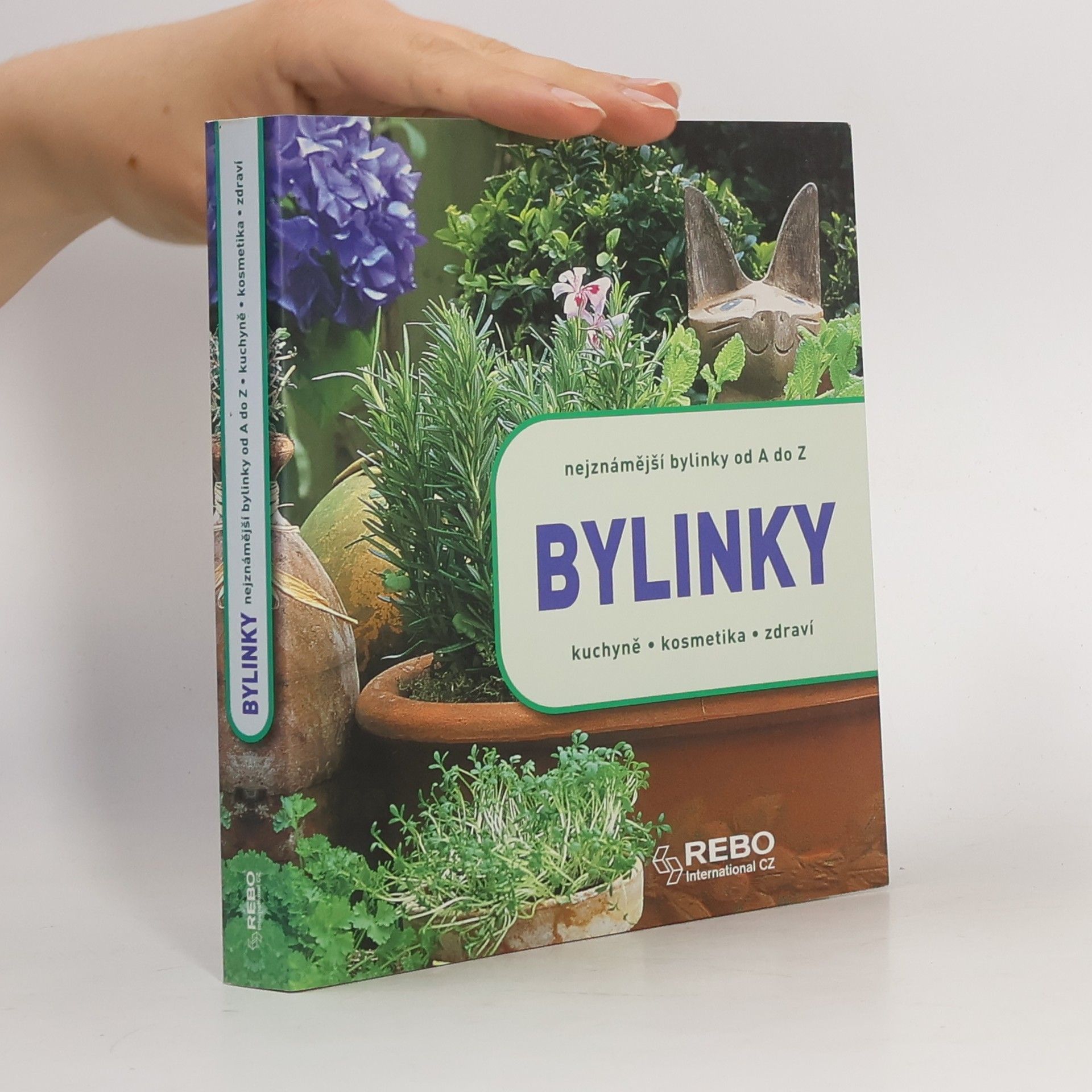 Václav Větvička Bylinky : nejznámější bylinky od A do Z : kuchyně, kosmetika, zdraví