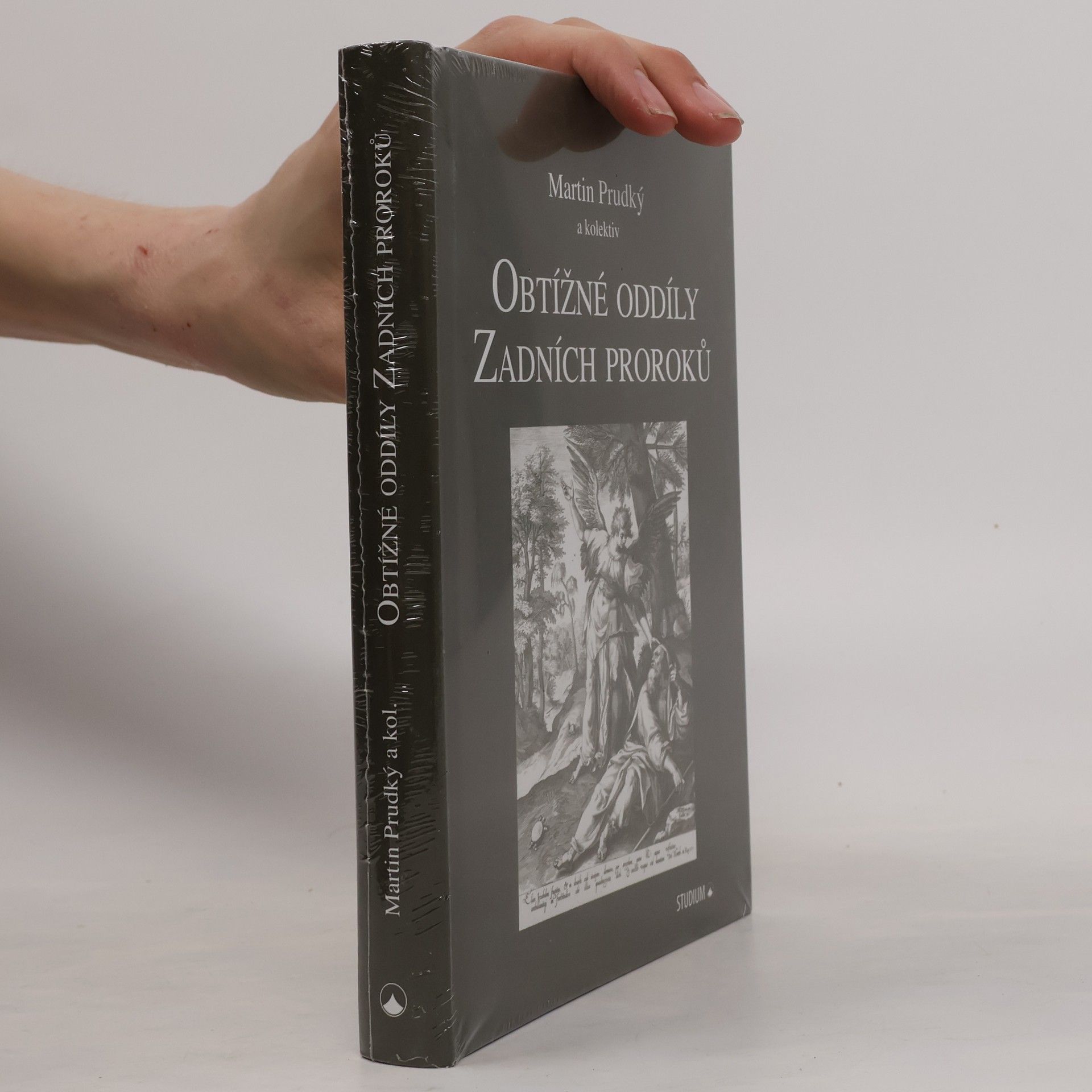 Martin Prudký Obtížné oddíly Zadních proroků