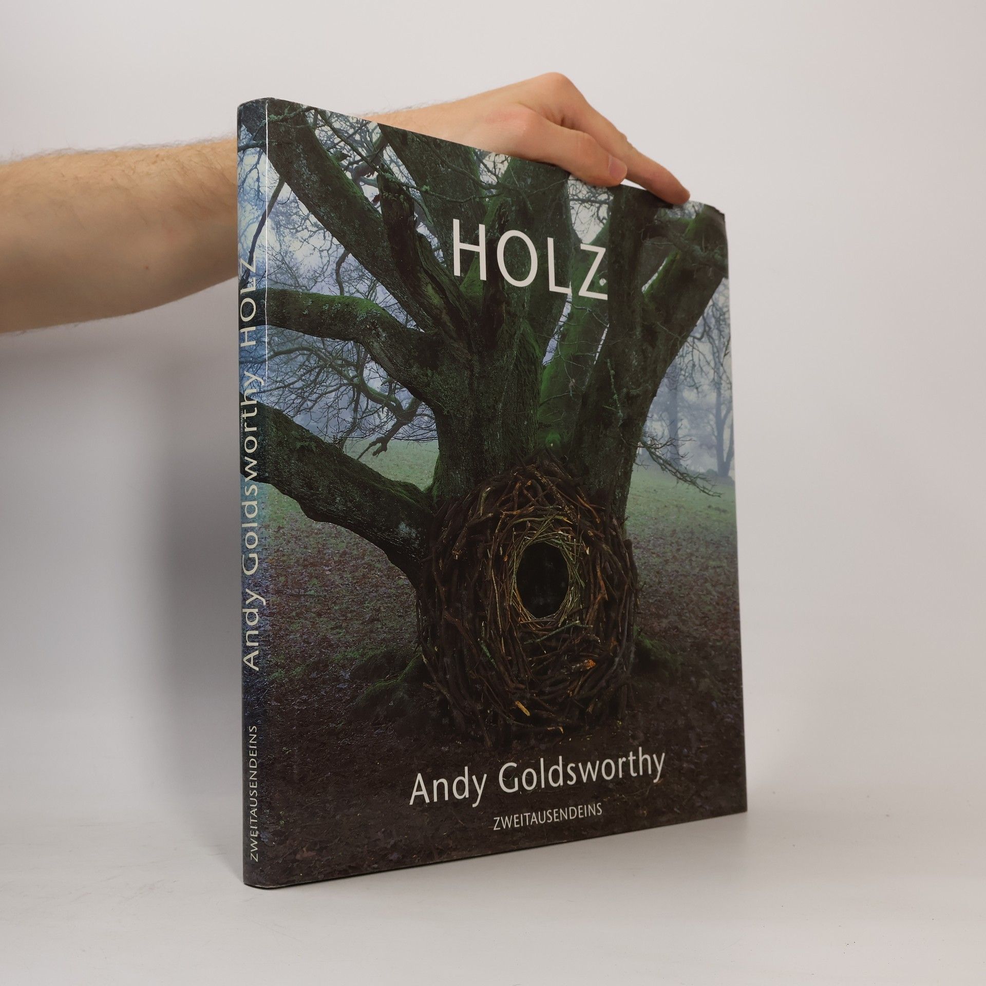 Andy Goldsworthy Holz