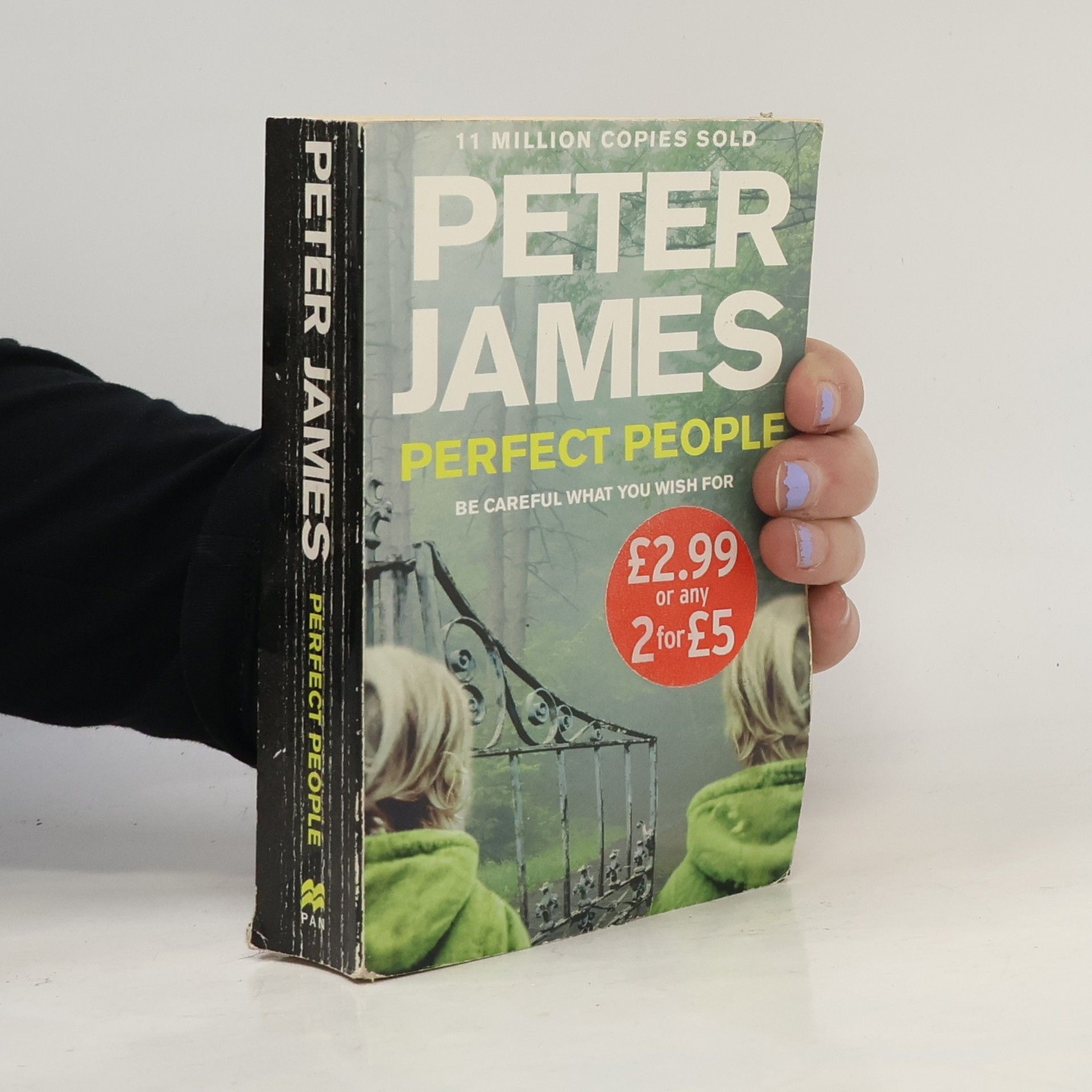 Peter James Perfect people