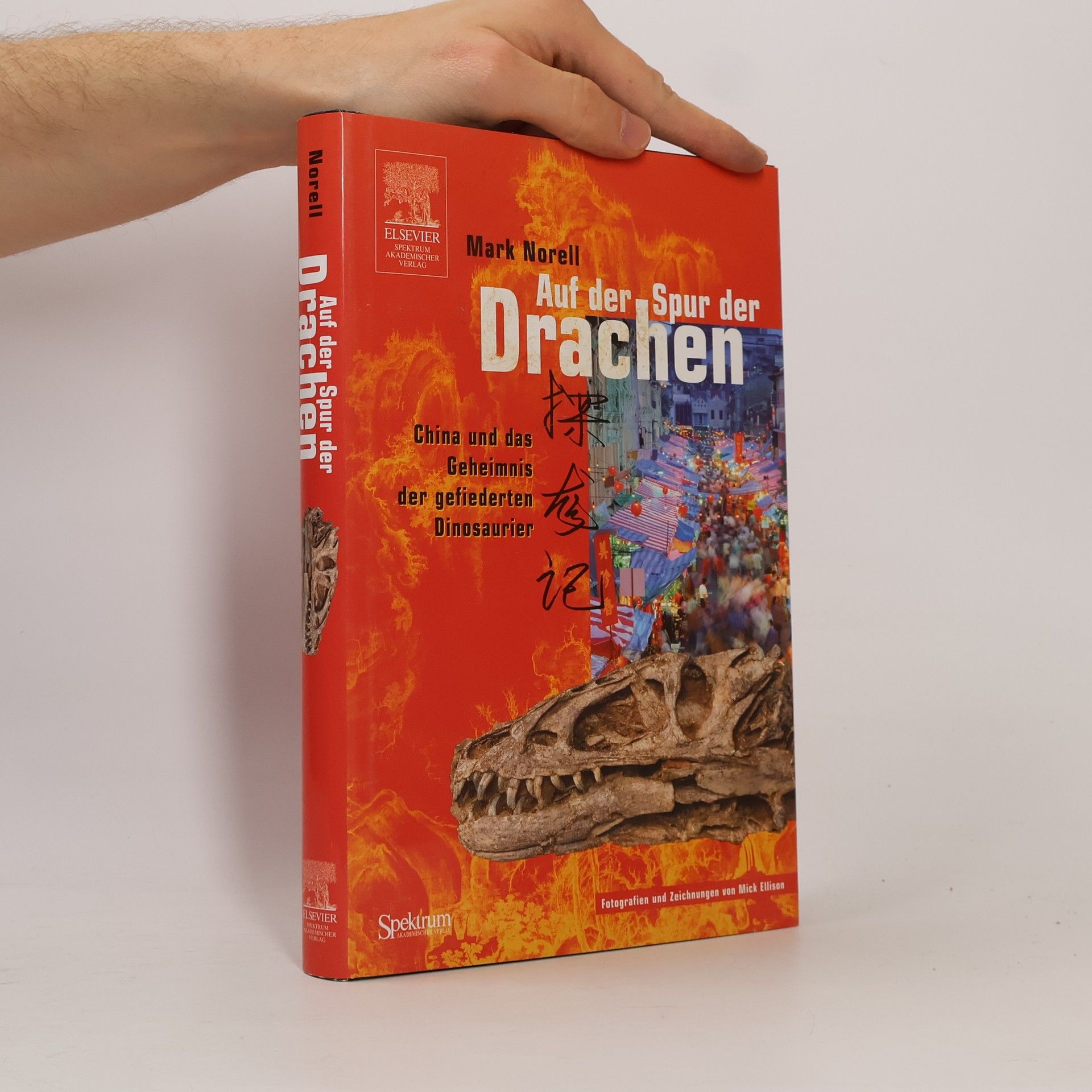 Mick Ellison Auf der Spur der Drachen
