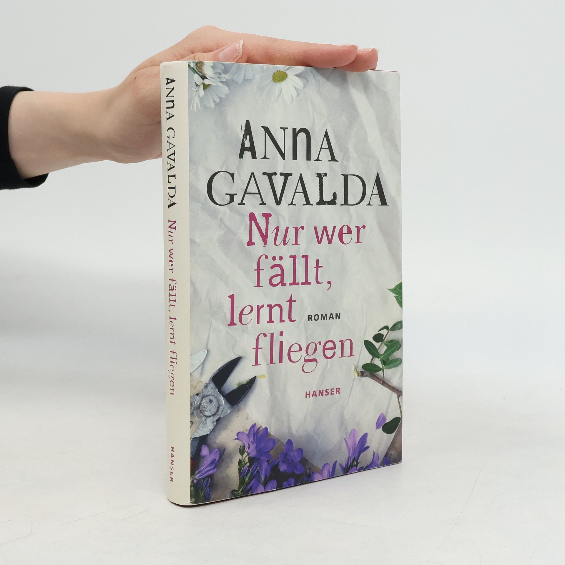 Anna Gavalda Nur wer fällt, lernt fliegen