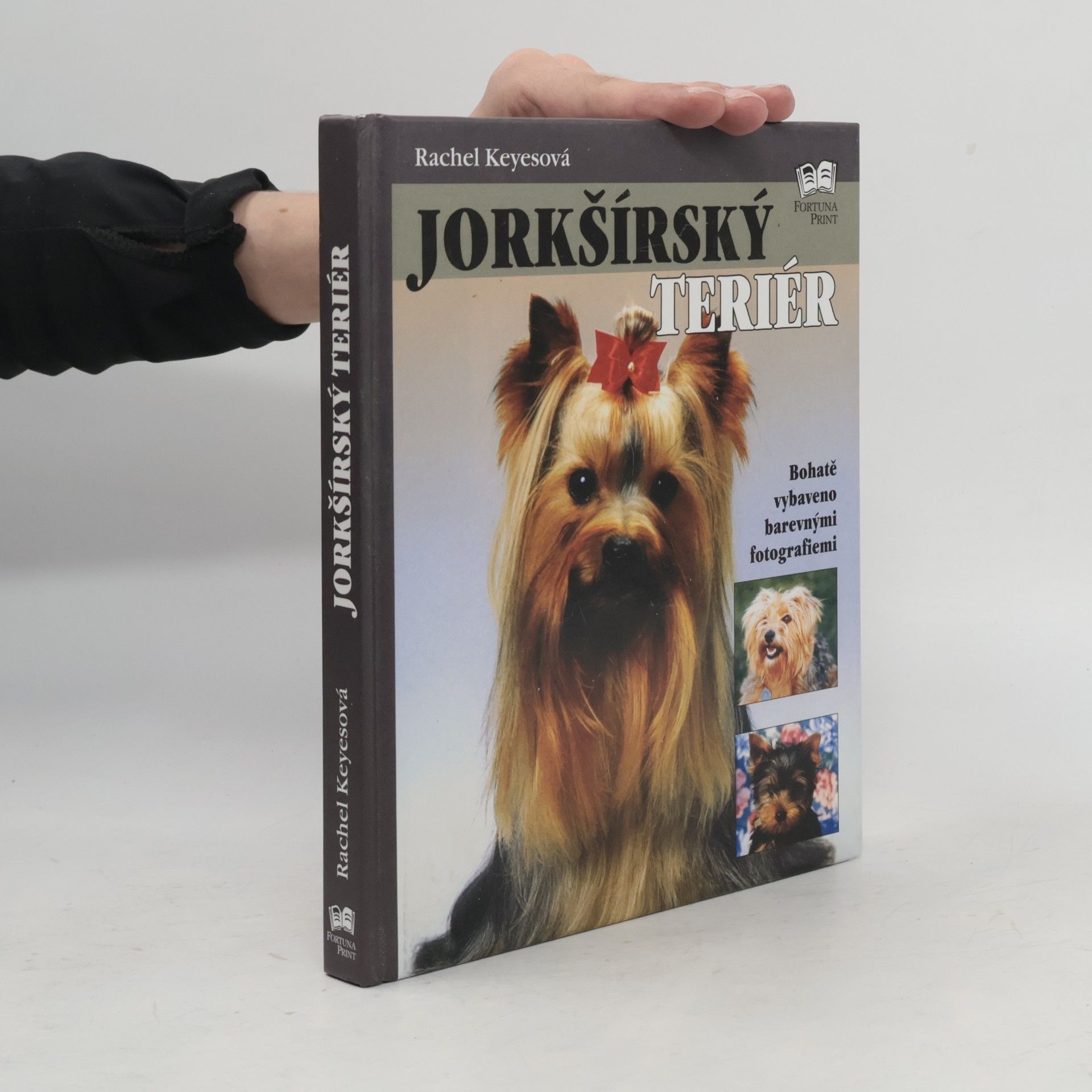 Rachel Keyes Jorkšírský teriér