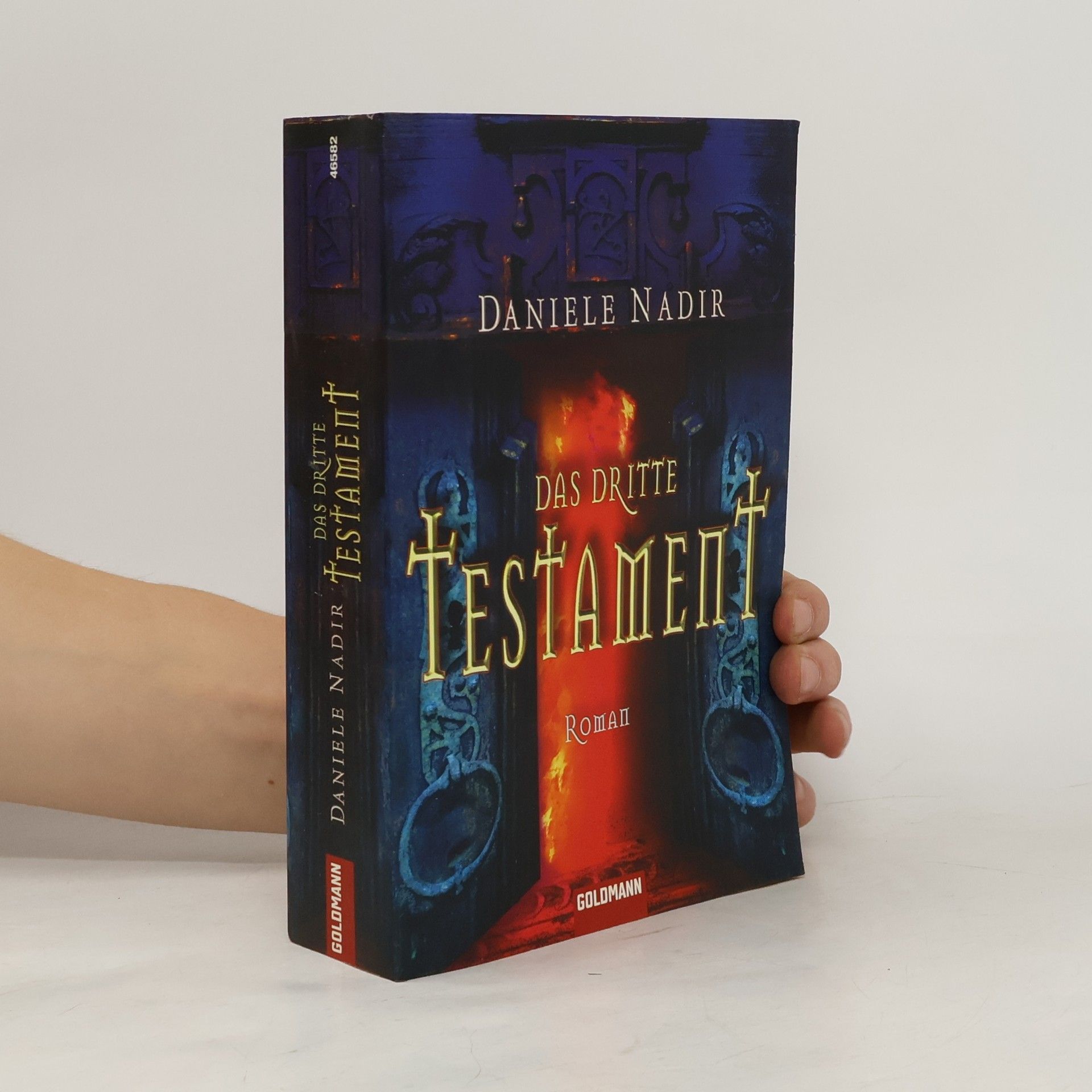 Daniele Nadir Das dritte Testament. Roman