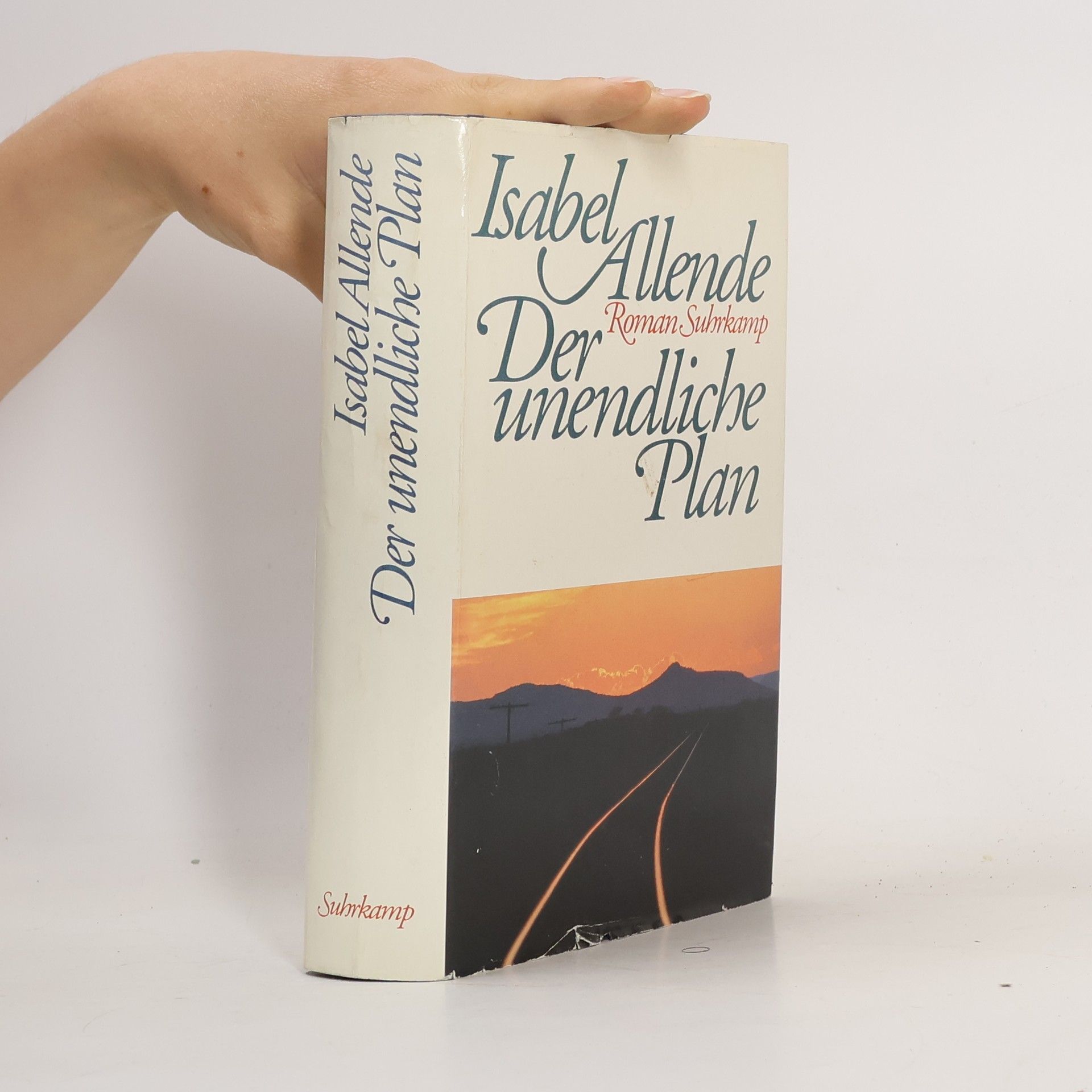 Isabel Allende Der unendliche Plan