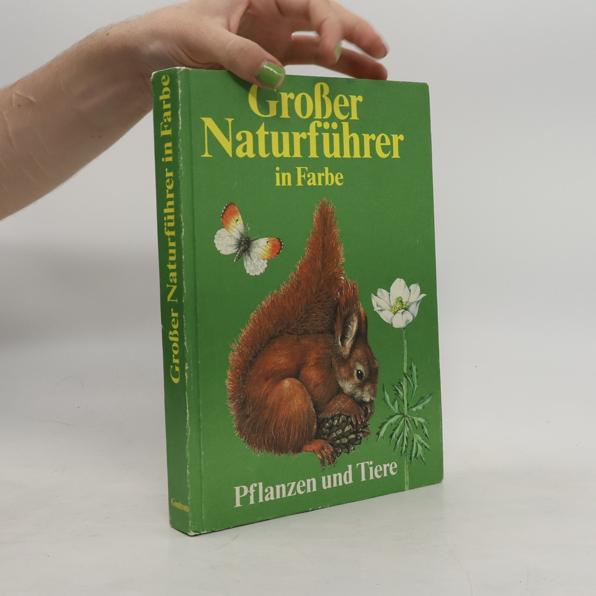 Christoph Needon Großer Naturführer in Farbe
